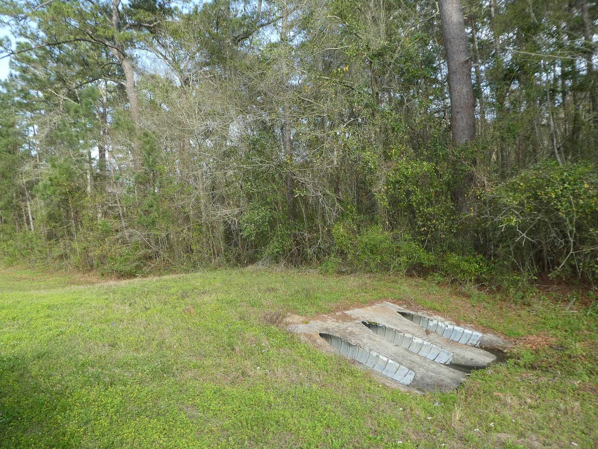 Xxx Thomasville Road, Tallahassee, Florida image 23