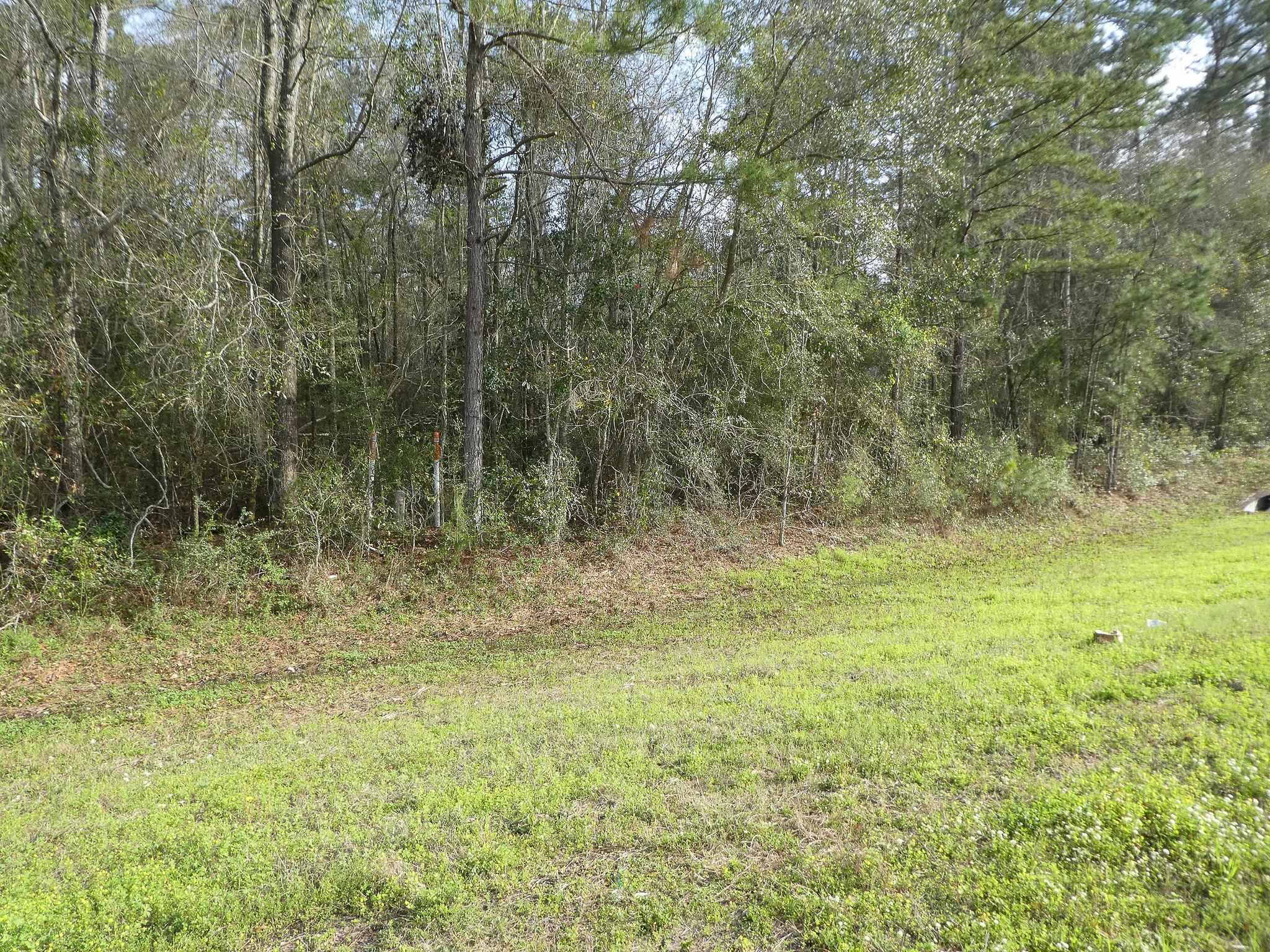 Xxx Thomasville Road, Tallahassee, Florida image 24