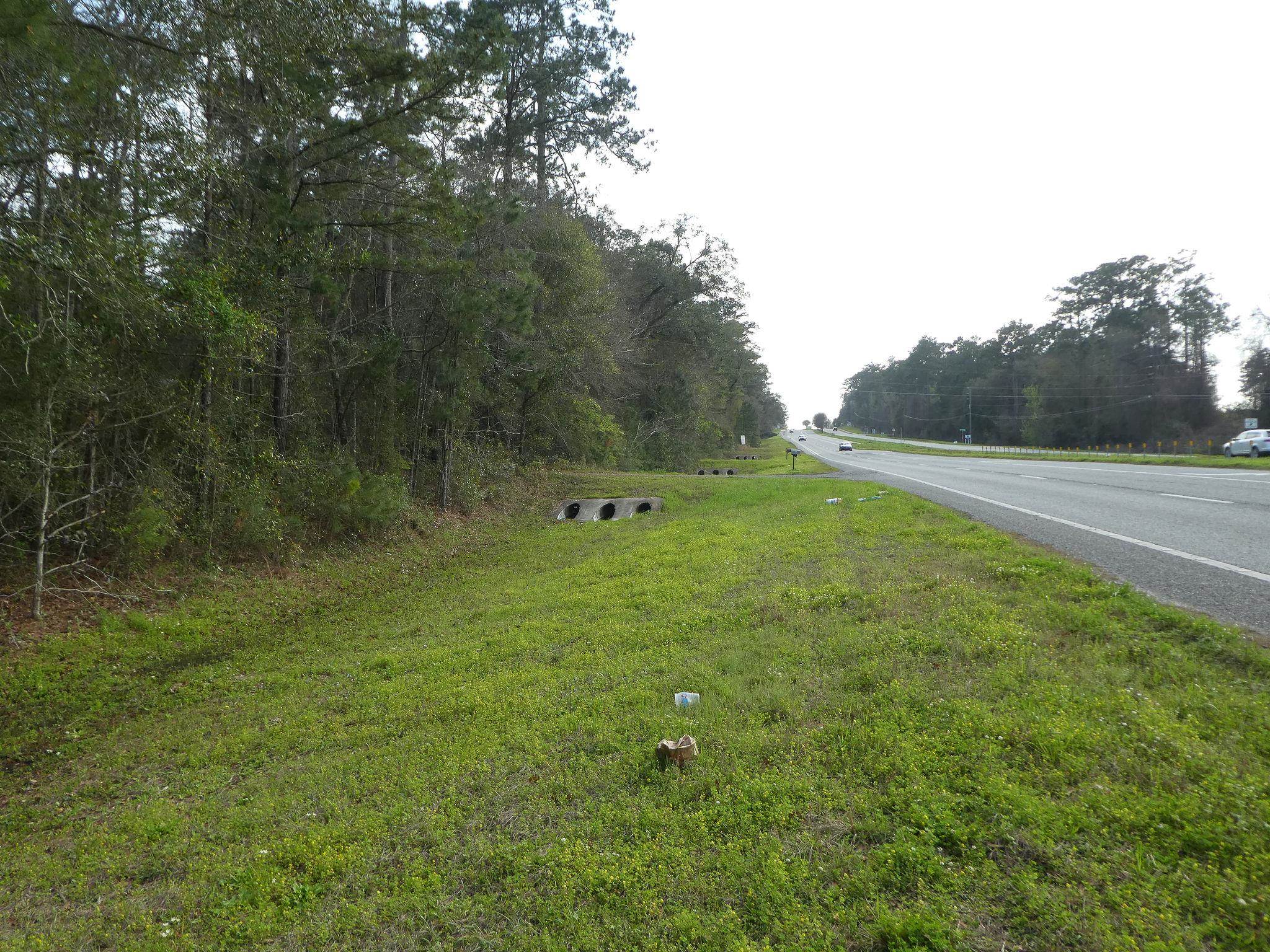 Xxx Thomasville Road, Tallahassee, Florida image 26