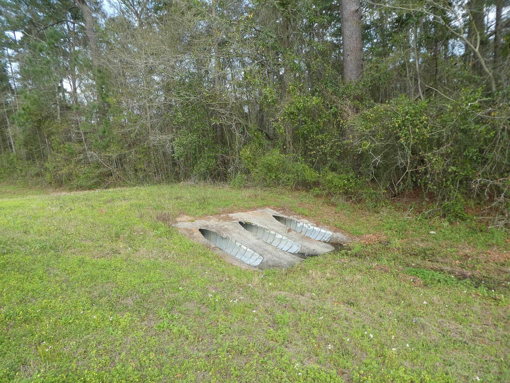 Xxx Thomasville Road, Tallahassee, Florida image 28