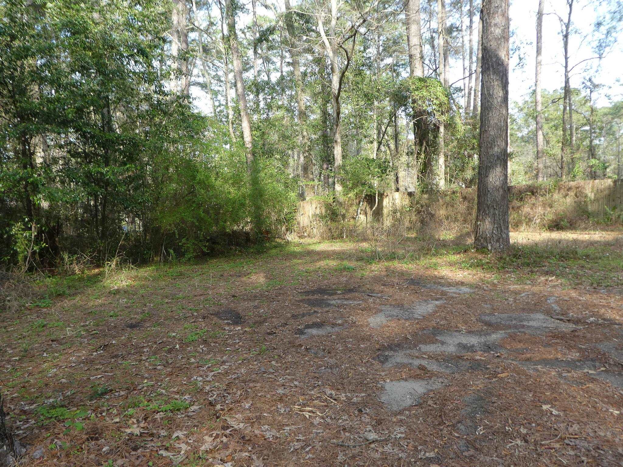 Xxx Thomasville Road, Tallahassee, Florida image 9