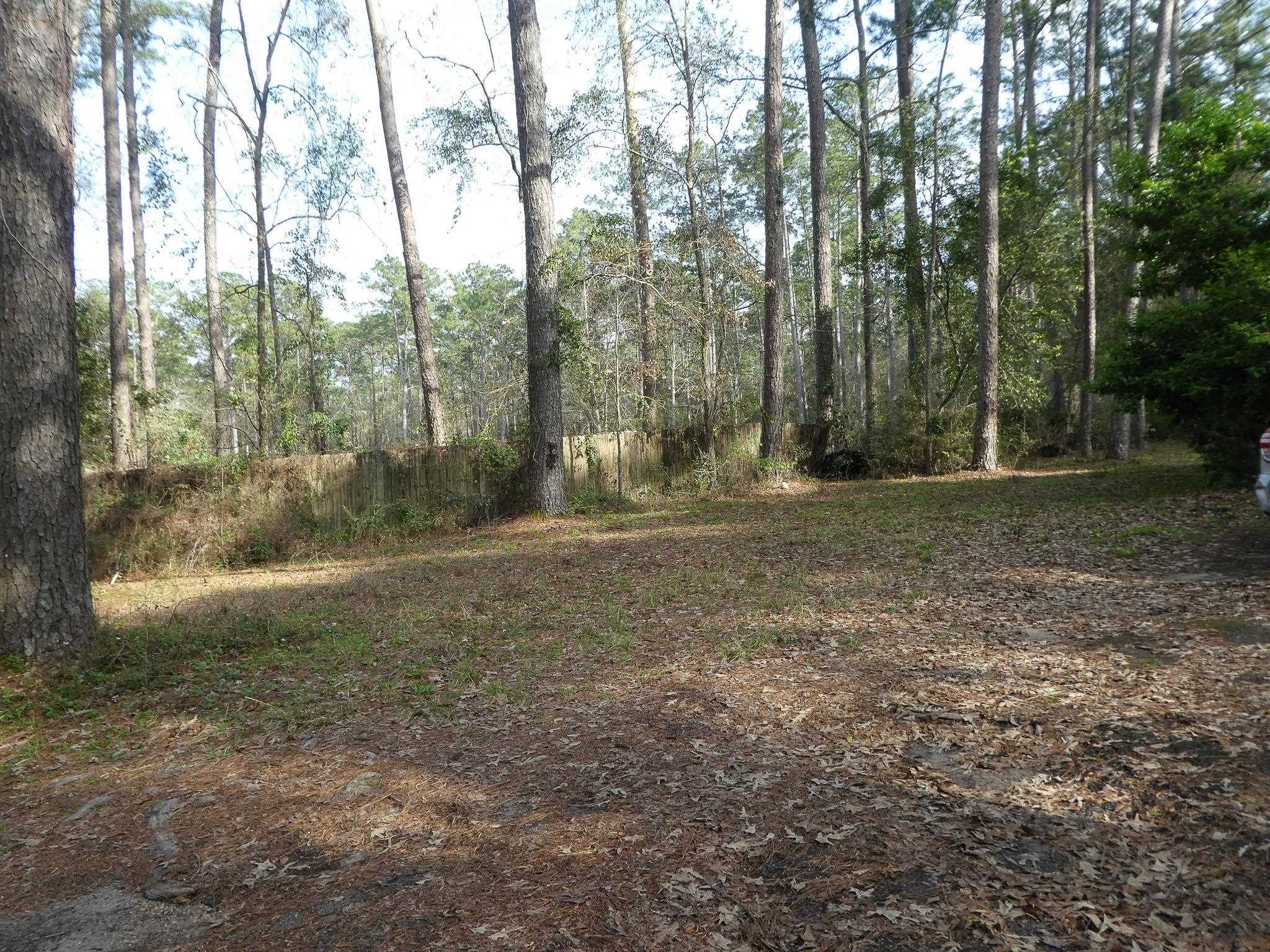 7115+7117 Thomasville Road, Tallahassee, Florida image 20
