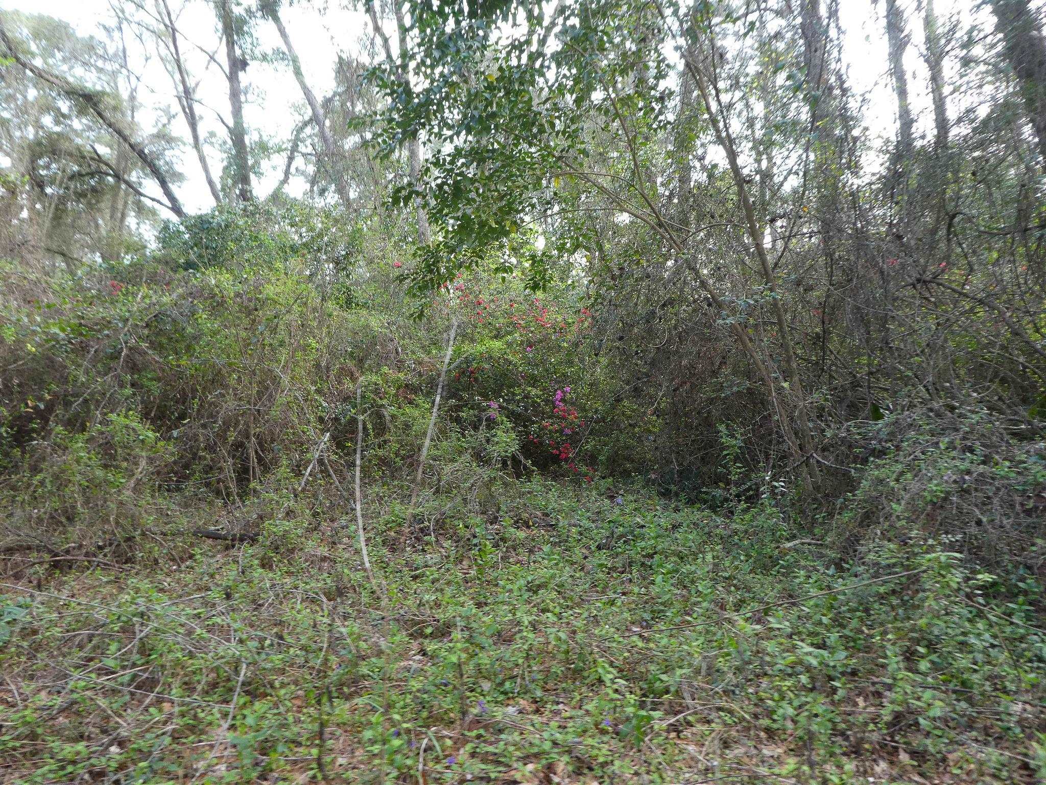 7115+7117 Thomasville Road, Tallahassee, Florida image 28