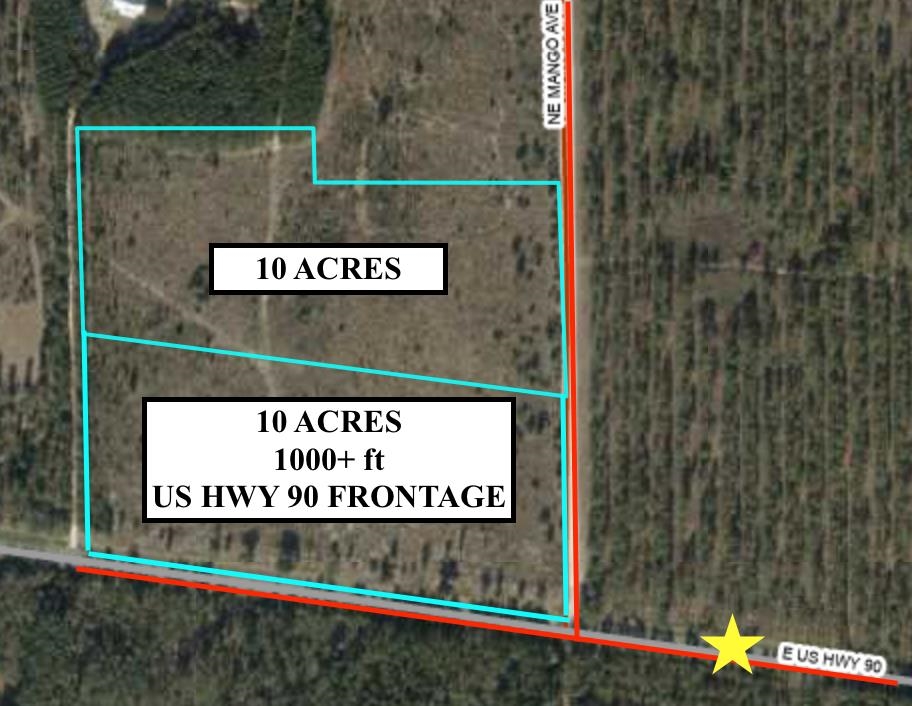 Vacant NE Mango Avenue, Lee, Florida image 1
