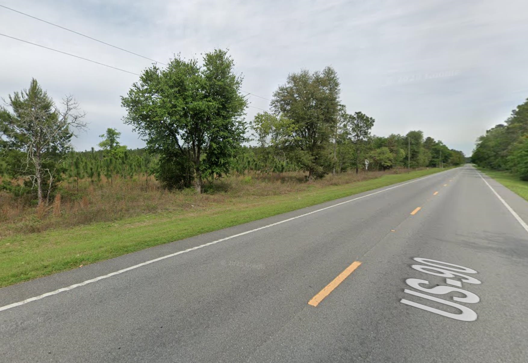 Vacant NE Mango Avenue, Lee, Florida image 7