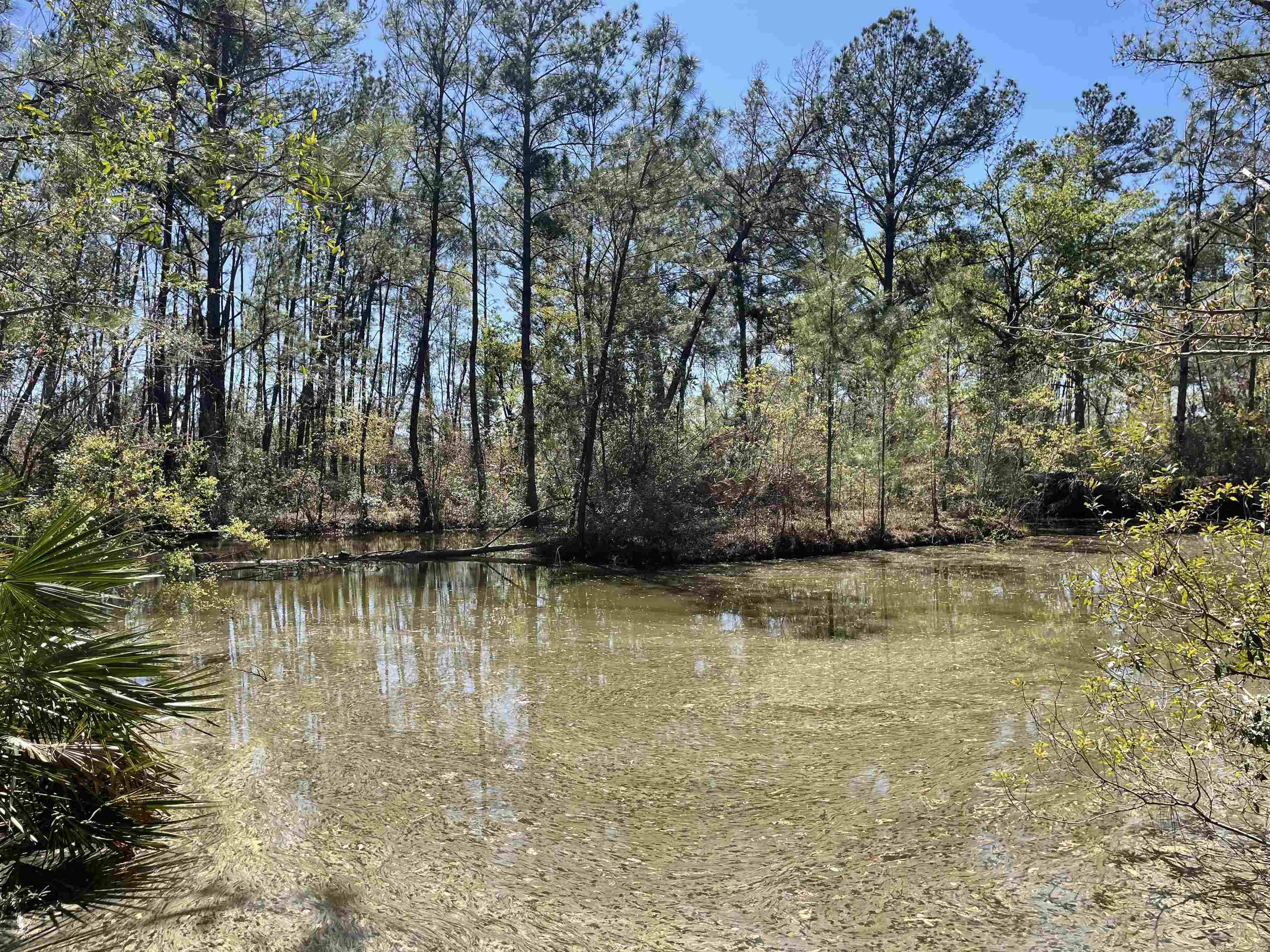 6224 SW 92nd Dr., Jasper, Florida image 1
