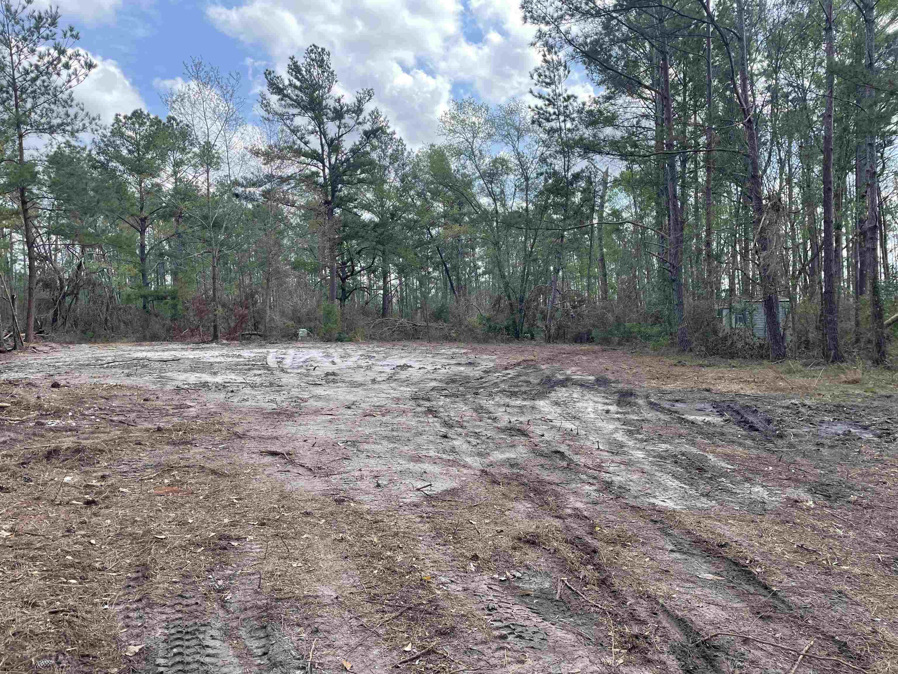 6224 SW 92nd Dr., Jasper, Florida image 6