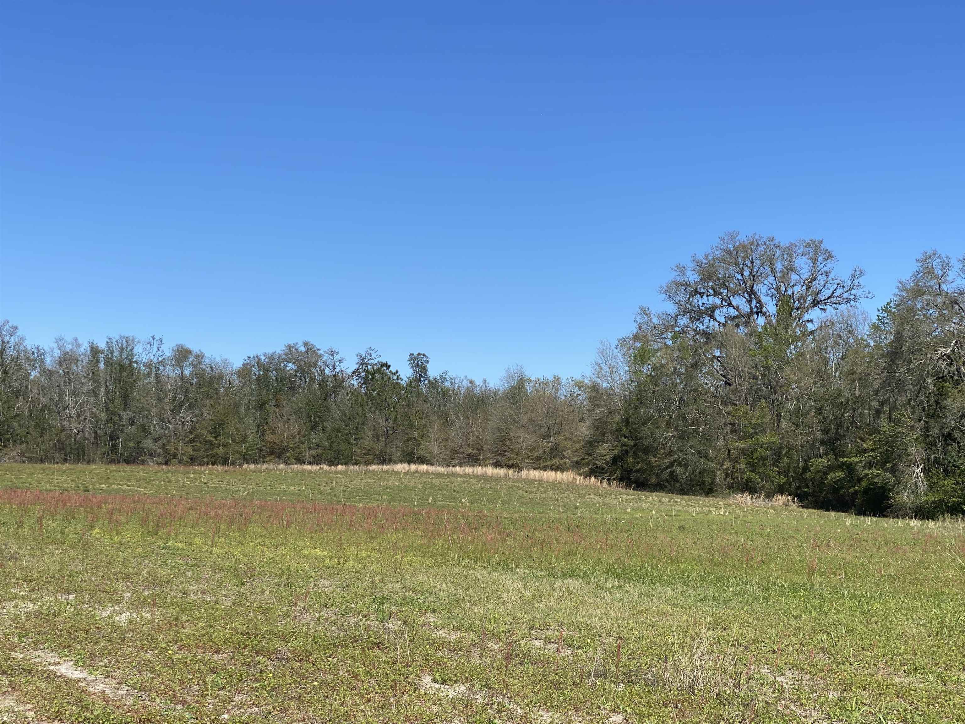 5377 Cattail Drive, Lee, Florida image 11