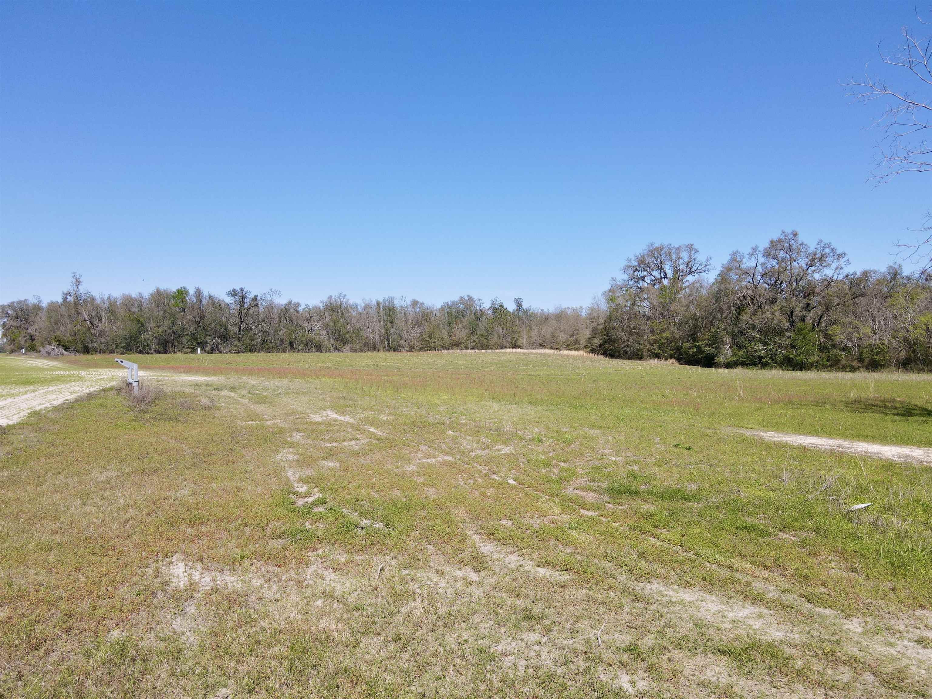 5377 Cattail Drive, Lee, Florida image 16