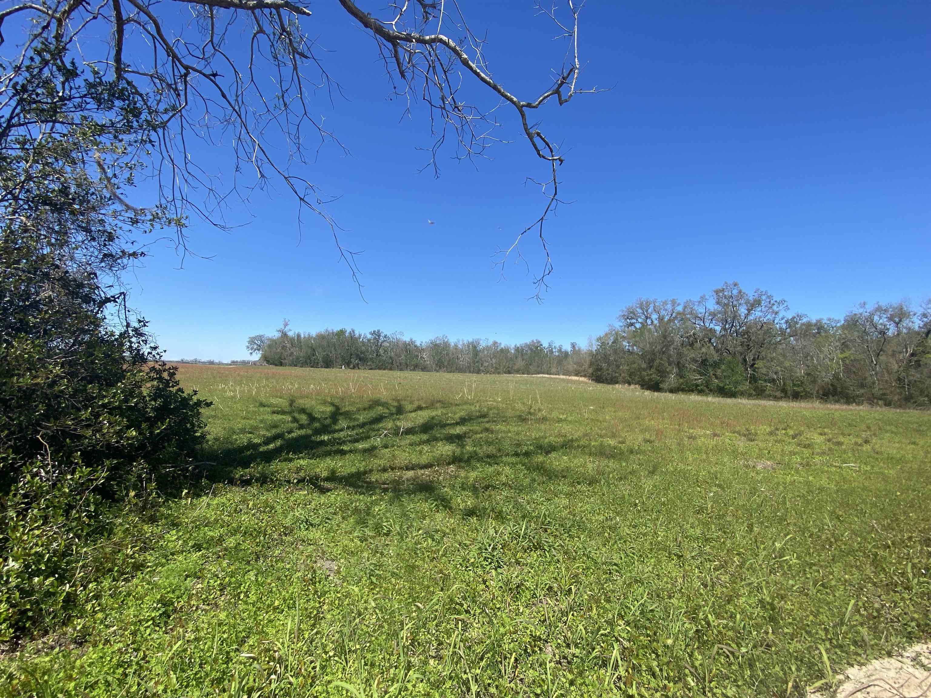 5377 Cattail Drive, Lee, Florida image 2