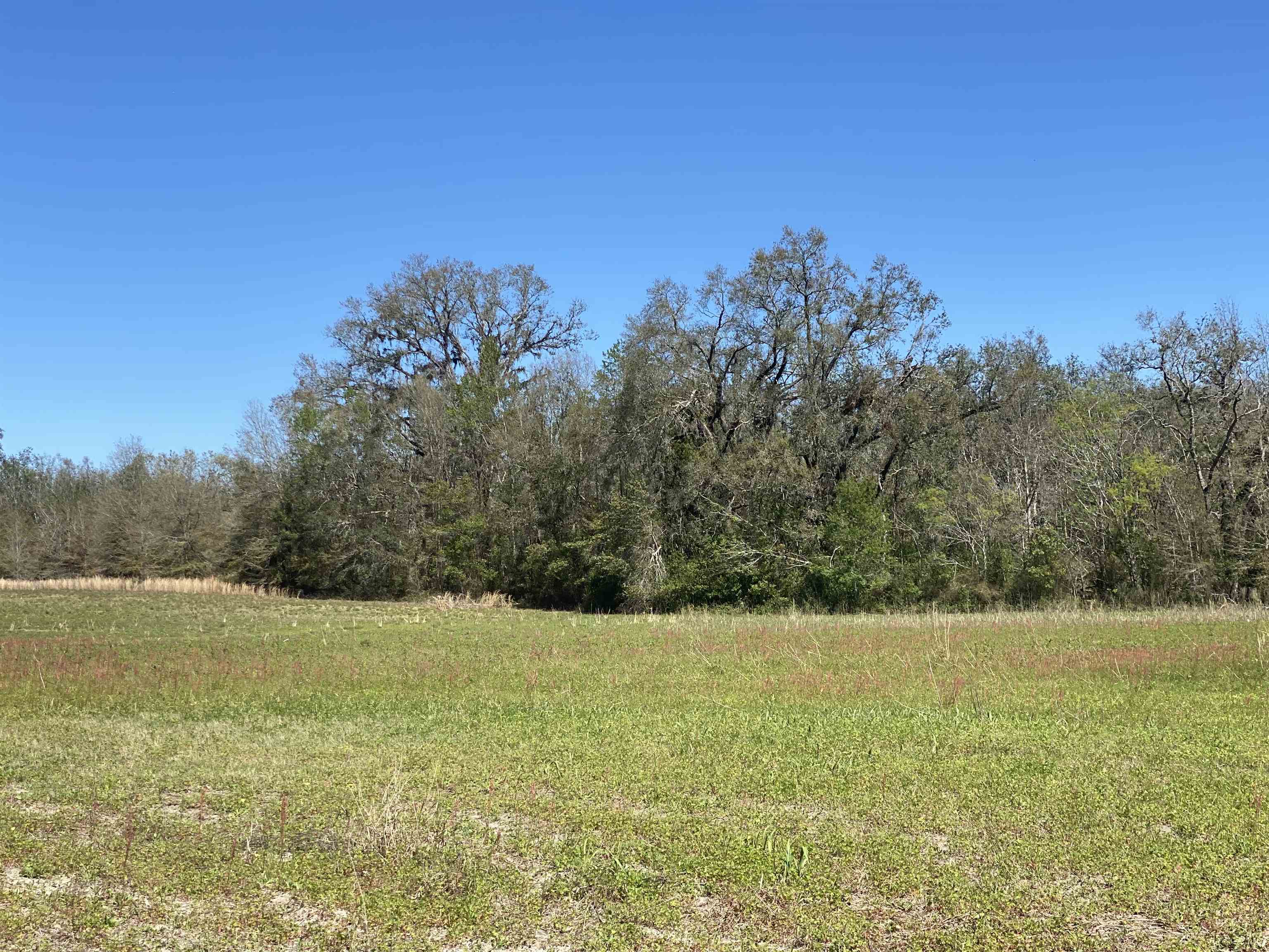 5377 Cattail Drive, Lee, Florida image 6
