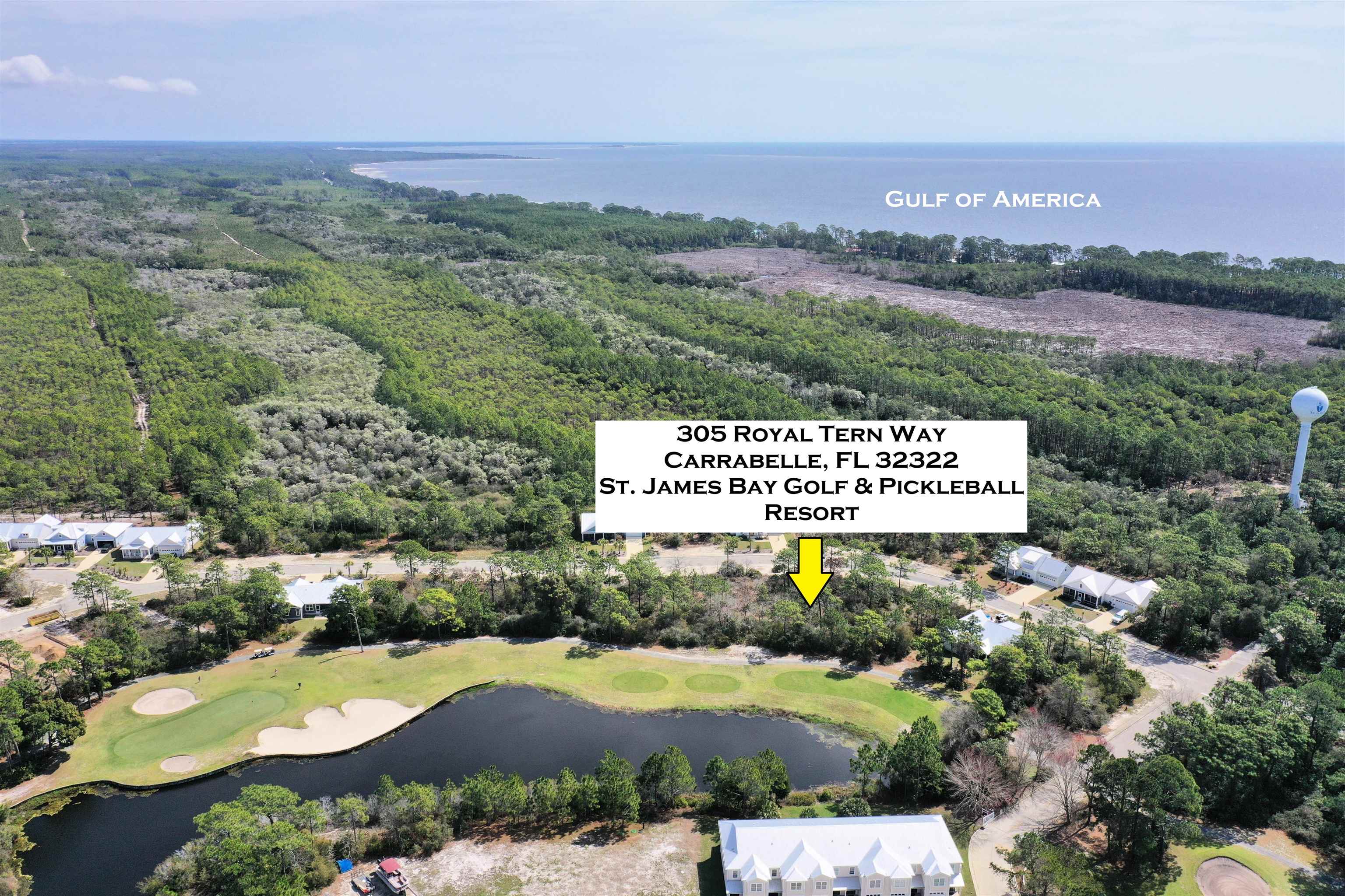 305 Royal Tern Way, Carrabelle, Florida image 1