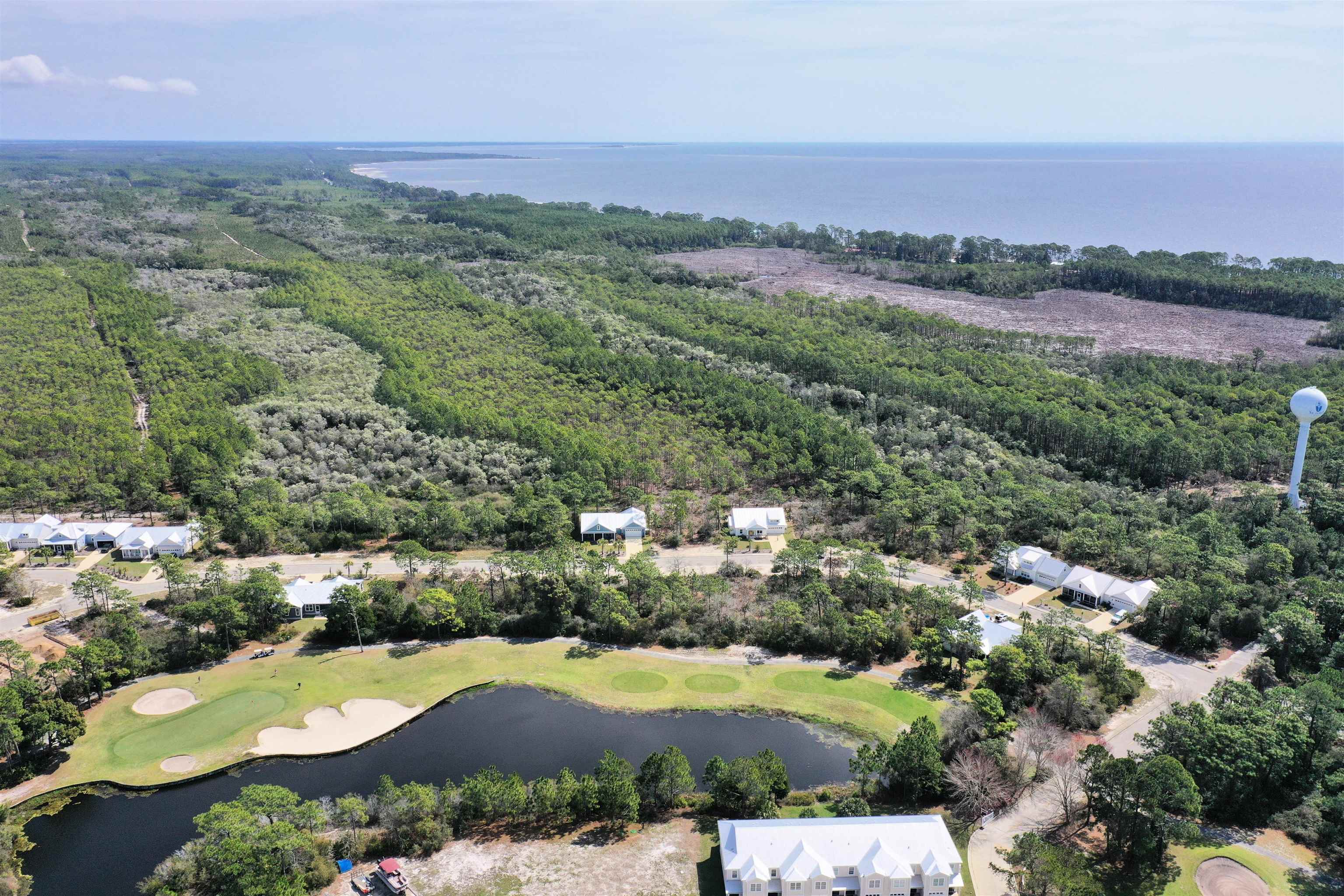 305 Royal Tern Way, Carrabelle, Florida image 2