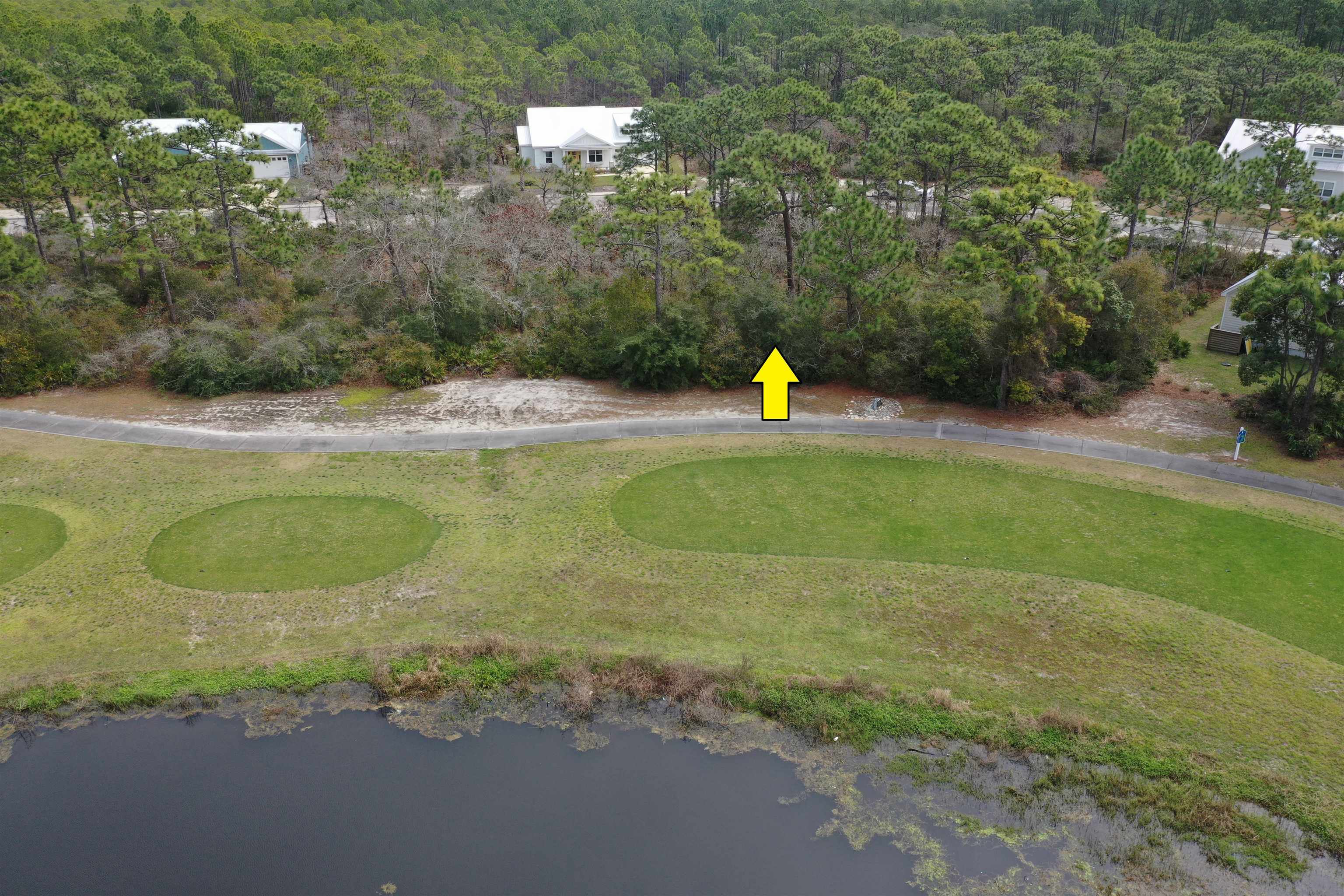 305 Royal Tern Way, Carrabelle, Florida image 26