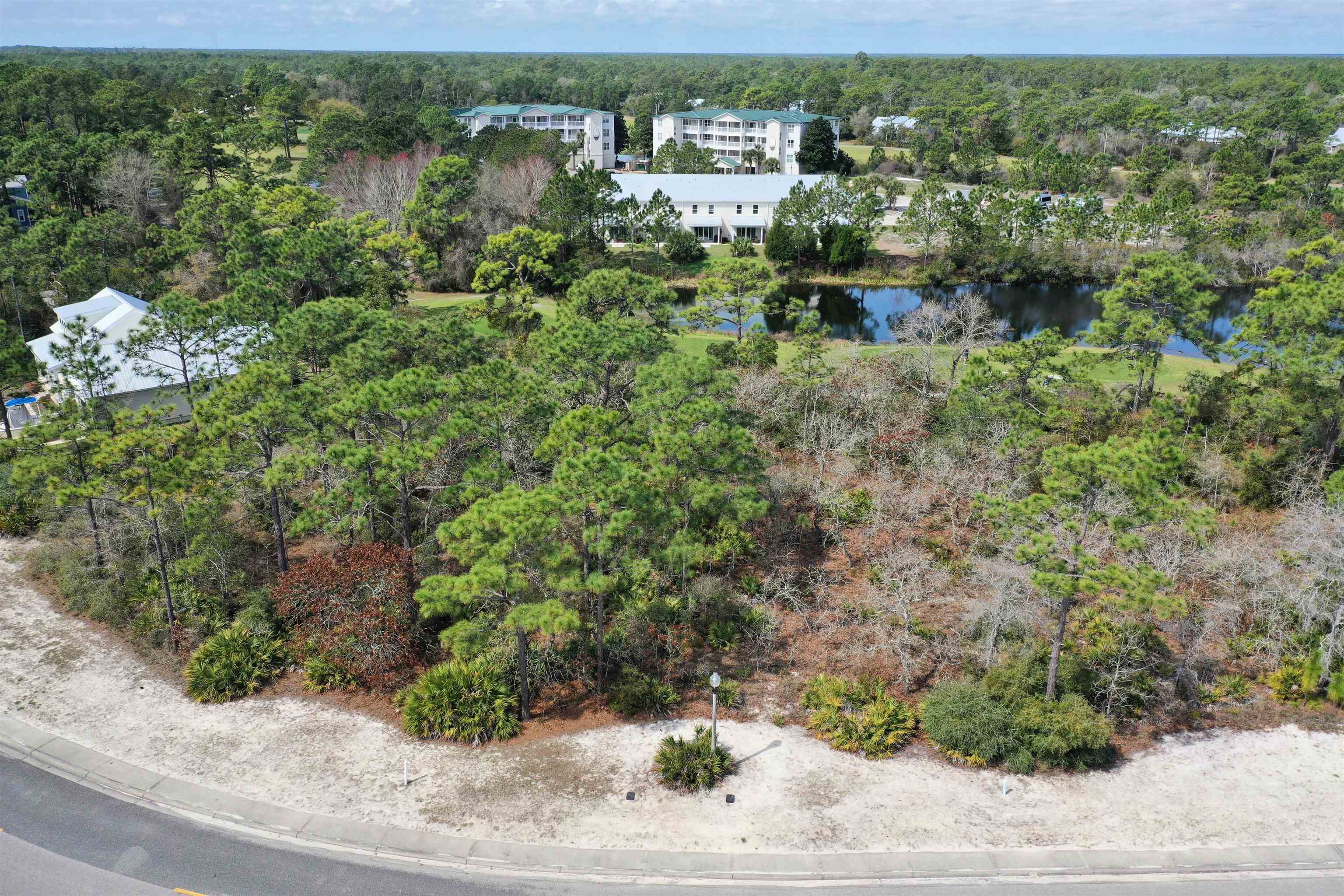 305 Royal Tern Way, Carrabelle, Florida image 4