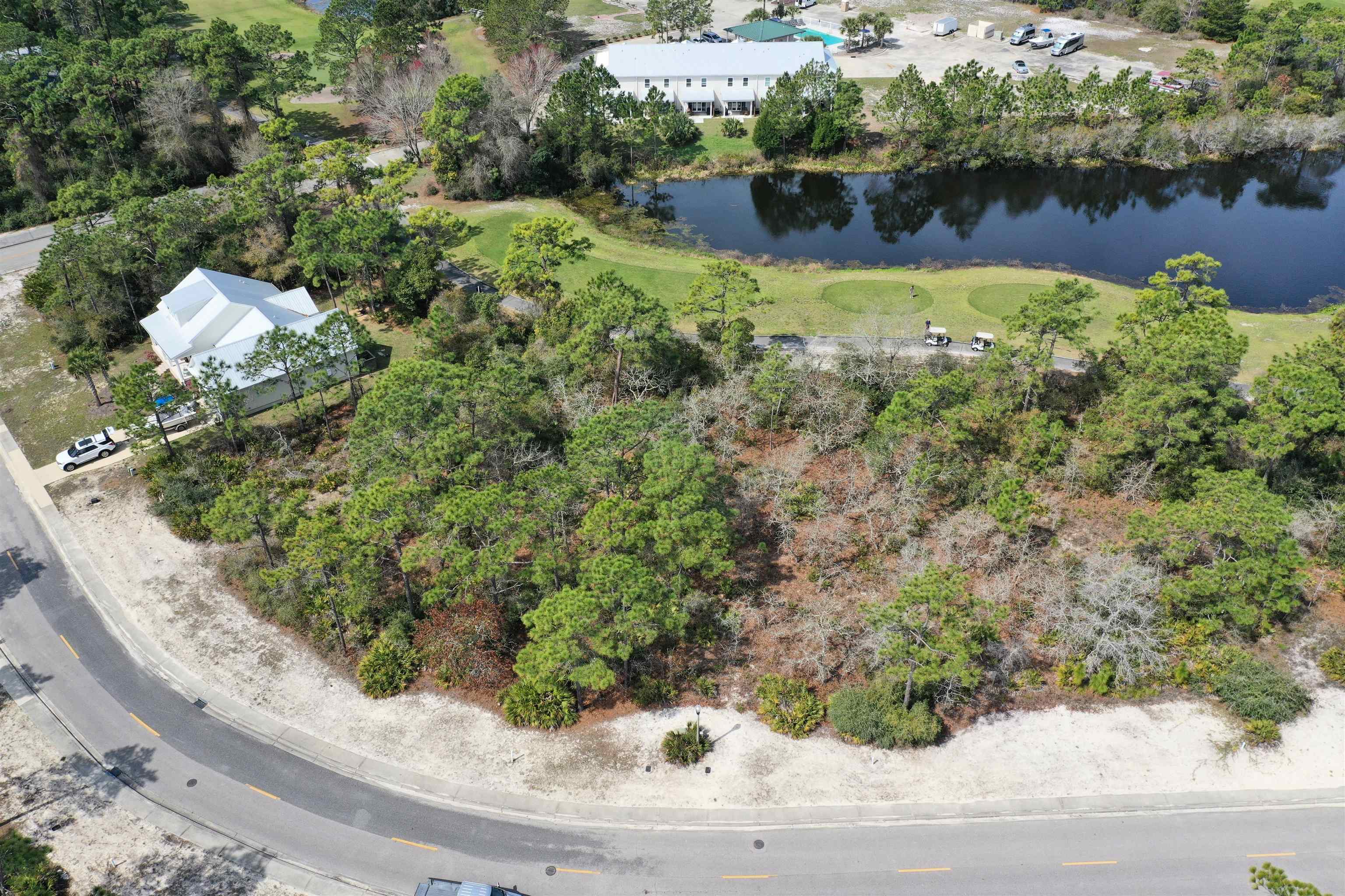 305 Royal Tern Way, Carrabelle, Florida image 6