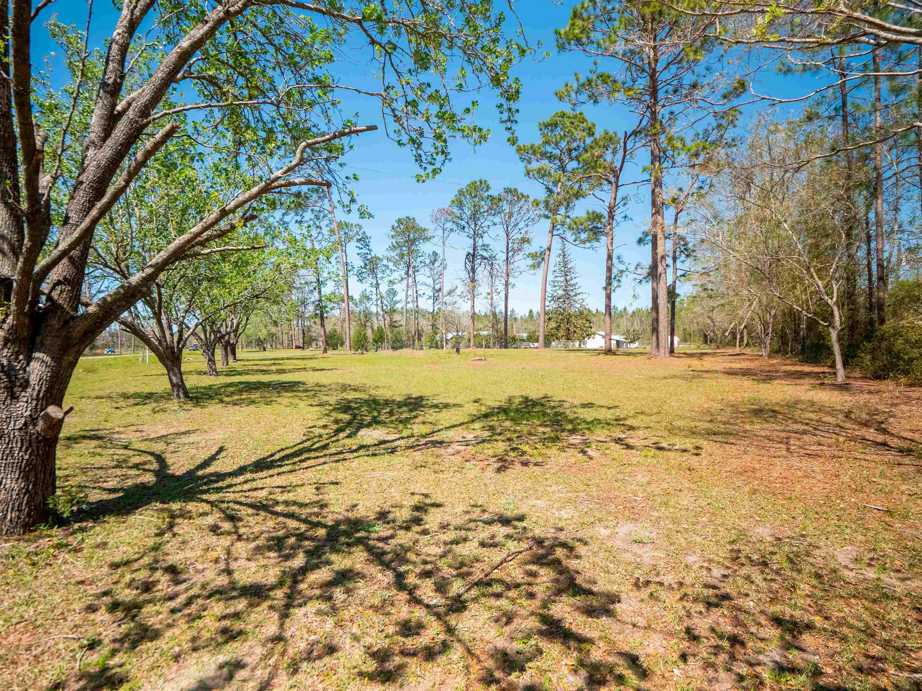 6753 E Us Hwy 90, Lee, Florida image 31