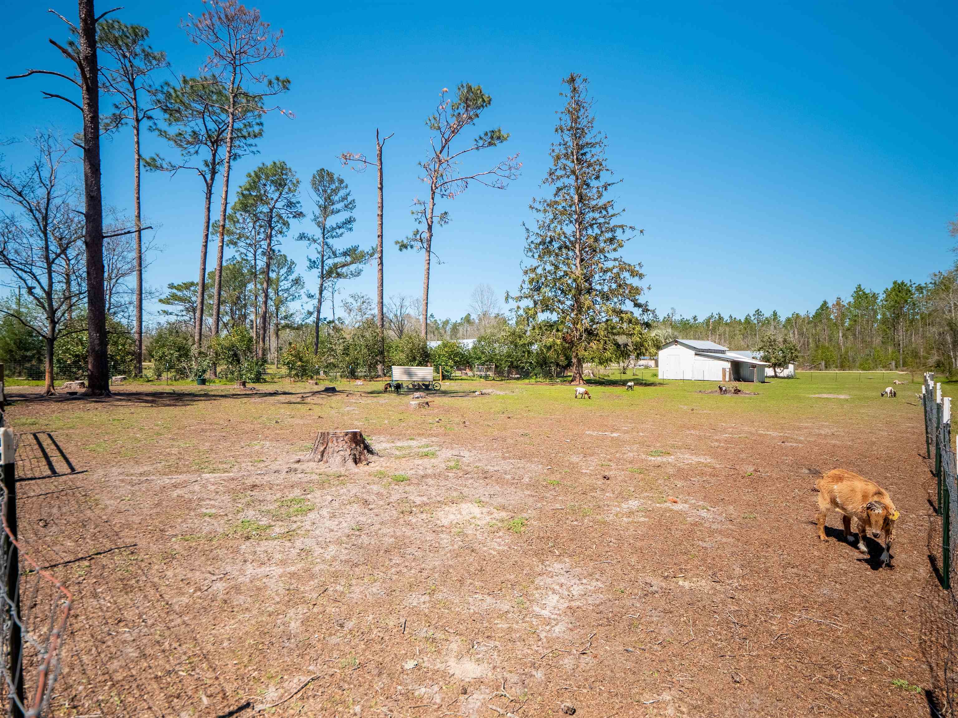 6753 E Us Hwy 90, Lee, Florida image 32