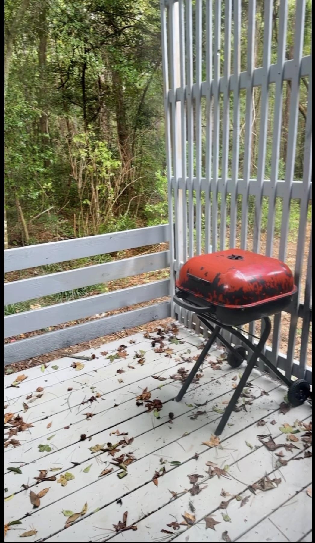 1216 Hidden Place, Tallahassee, Florida image 19