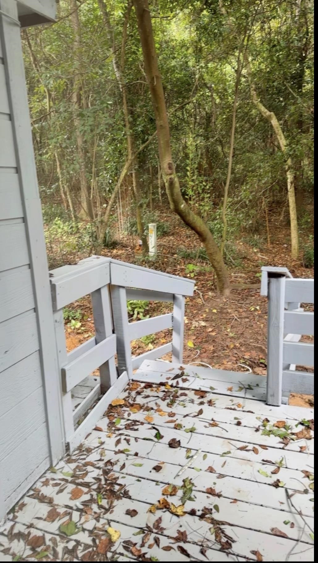 1216 Hidden Place, Tallahassee, Florida image 20