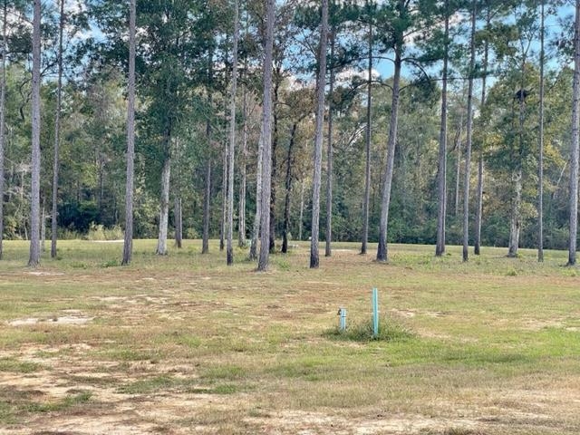 Lot 9 Porch Farm Way, Tallahassee, Florida image 3