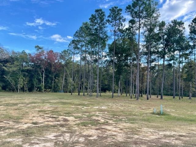Lot 9 Porch Farm Way, Tallahassee, Florida image 6