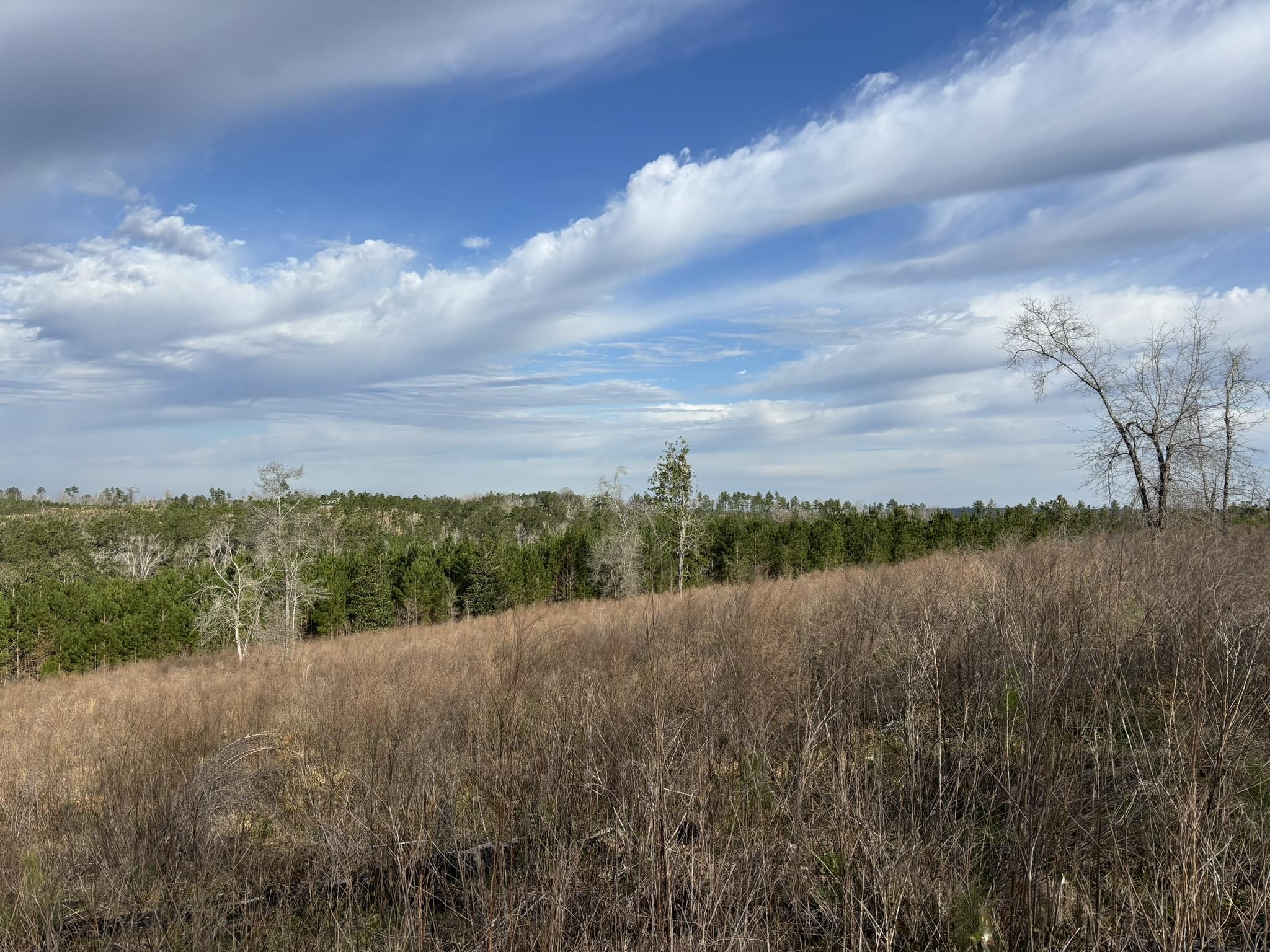 322 Graceland Road, Chattahoochee, Florida image 1