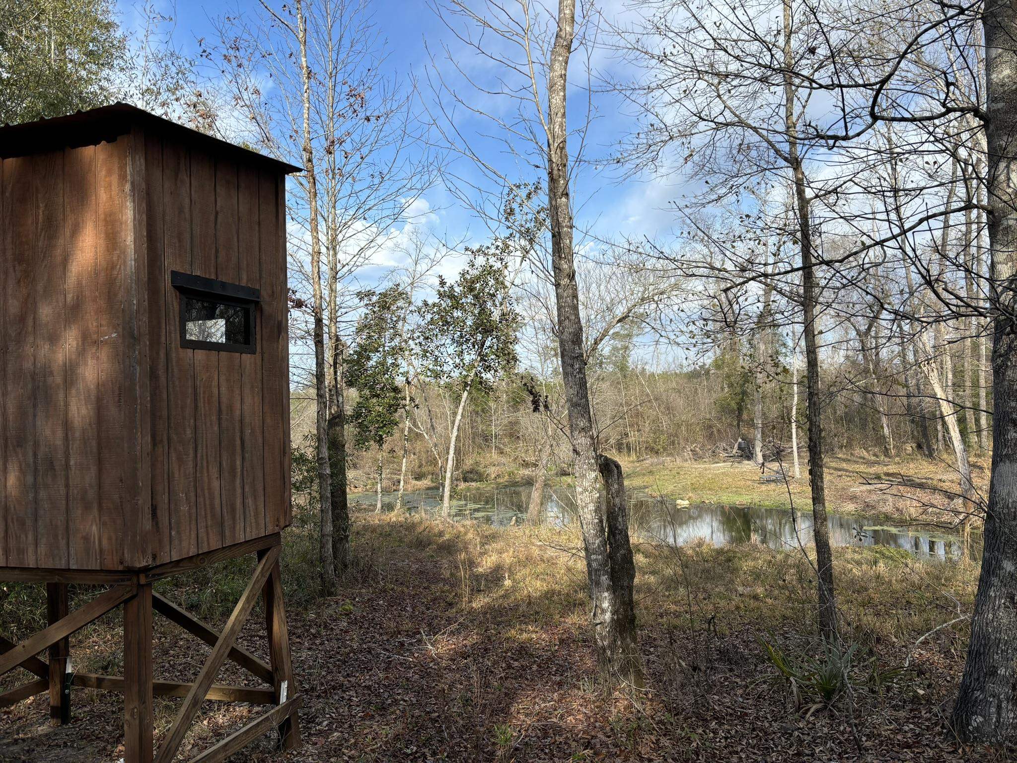 322 Graceland Road, Chattahoochee, Florida image 14