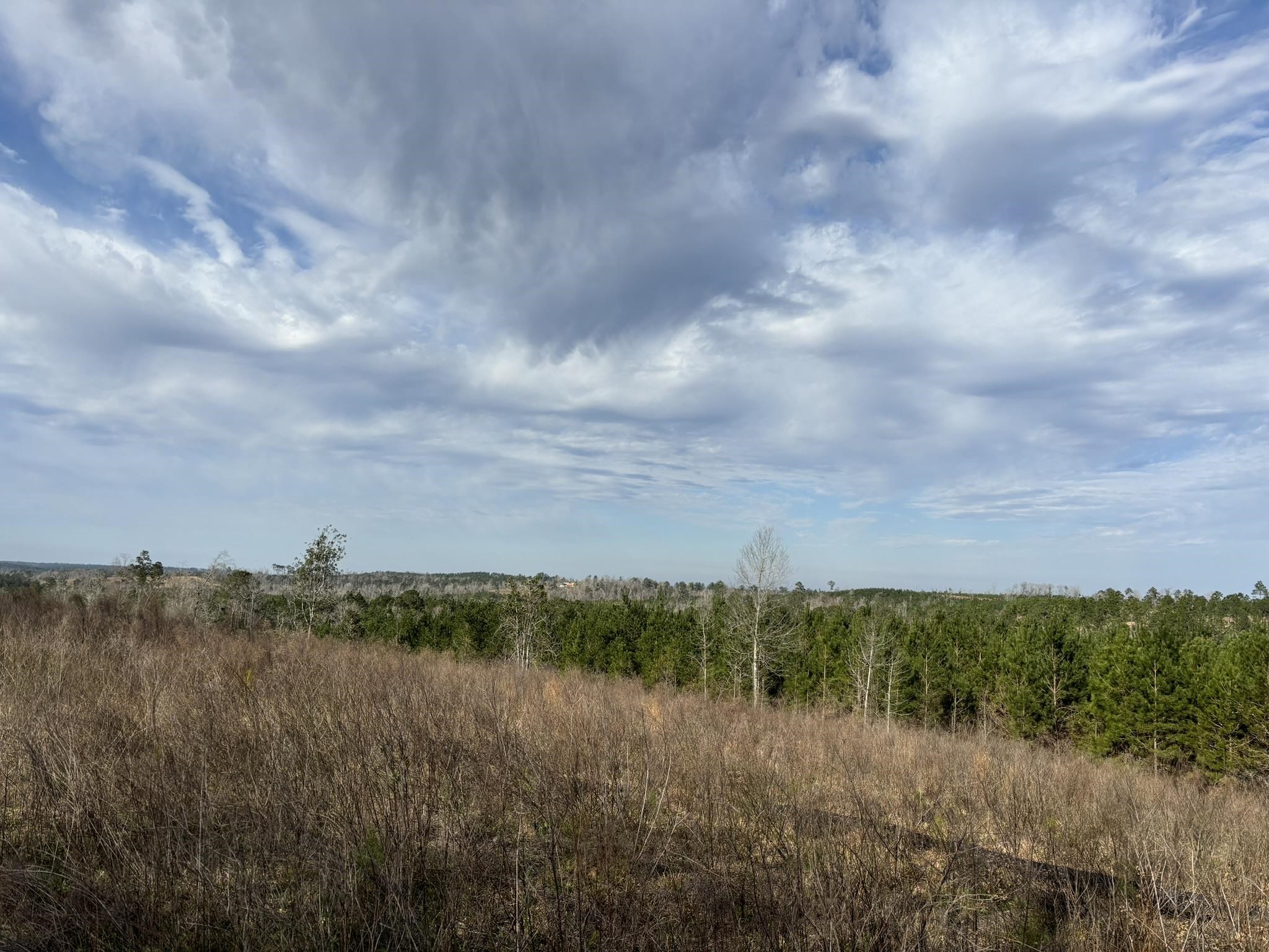 322 Graceland Road, Chattahoochee, Florida image 19