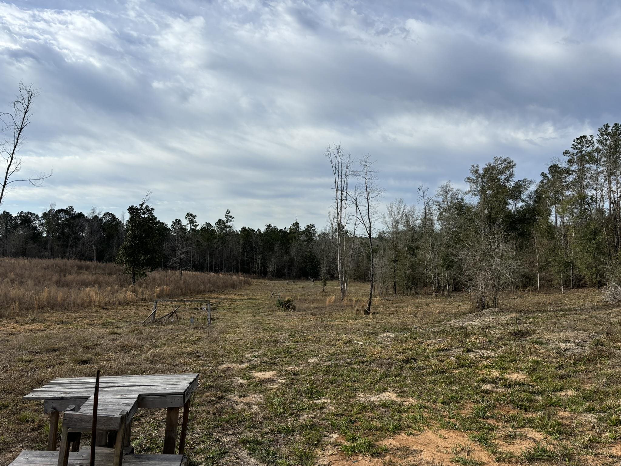 322 Graceland Road, Chattahoochee, Florida image 41