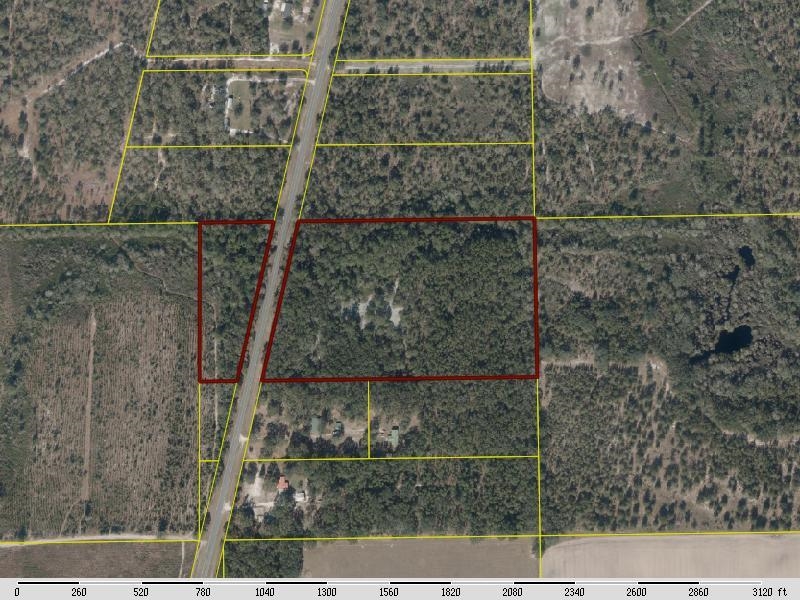 6320 N Cr 53, Mayo, Florida image 1
