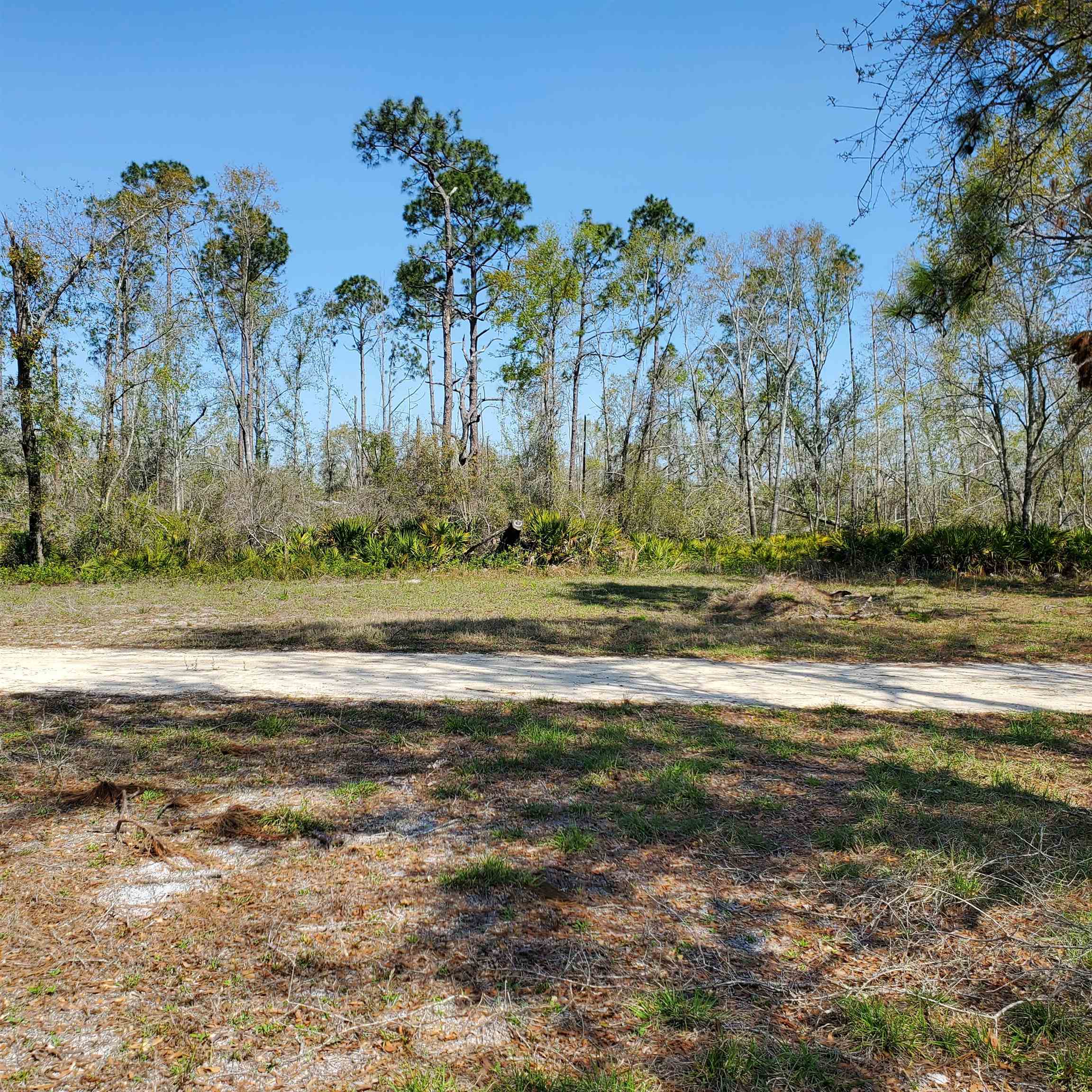 6320 N Cr 53, Mayo, Florida image 10