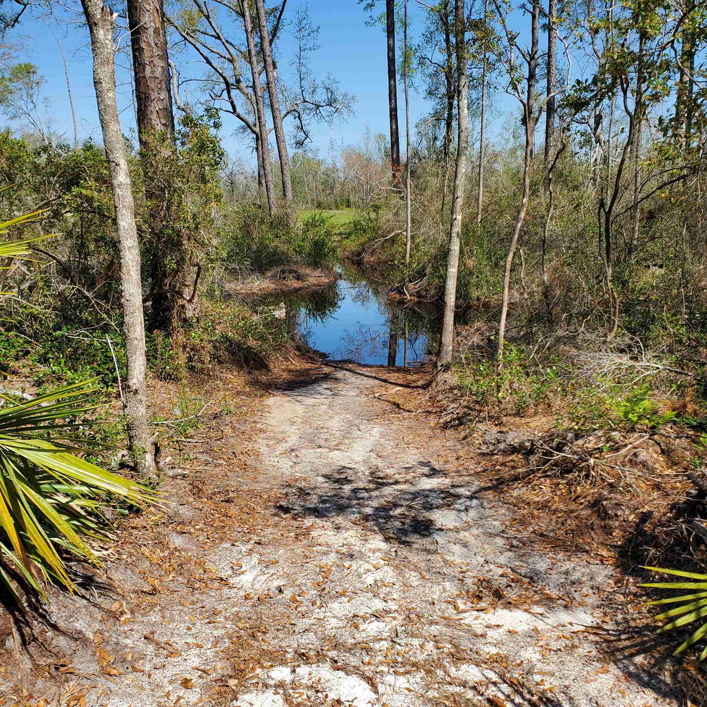 6320 N Cr 53, Mayo, Florida image 12
