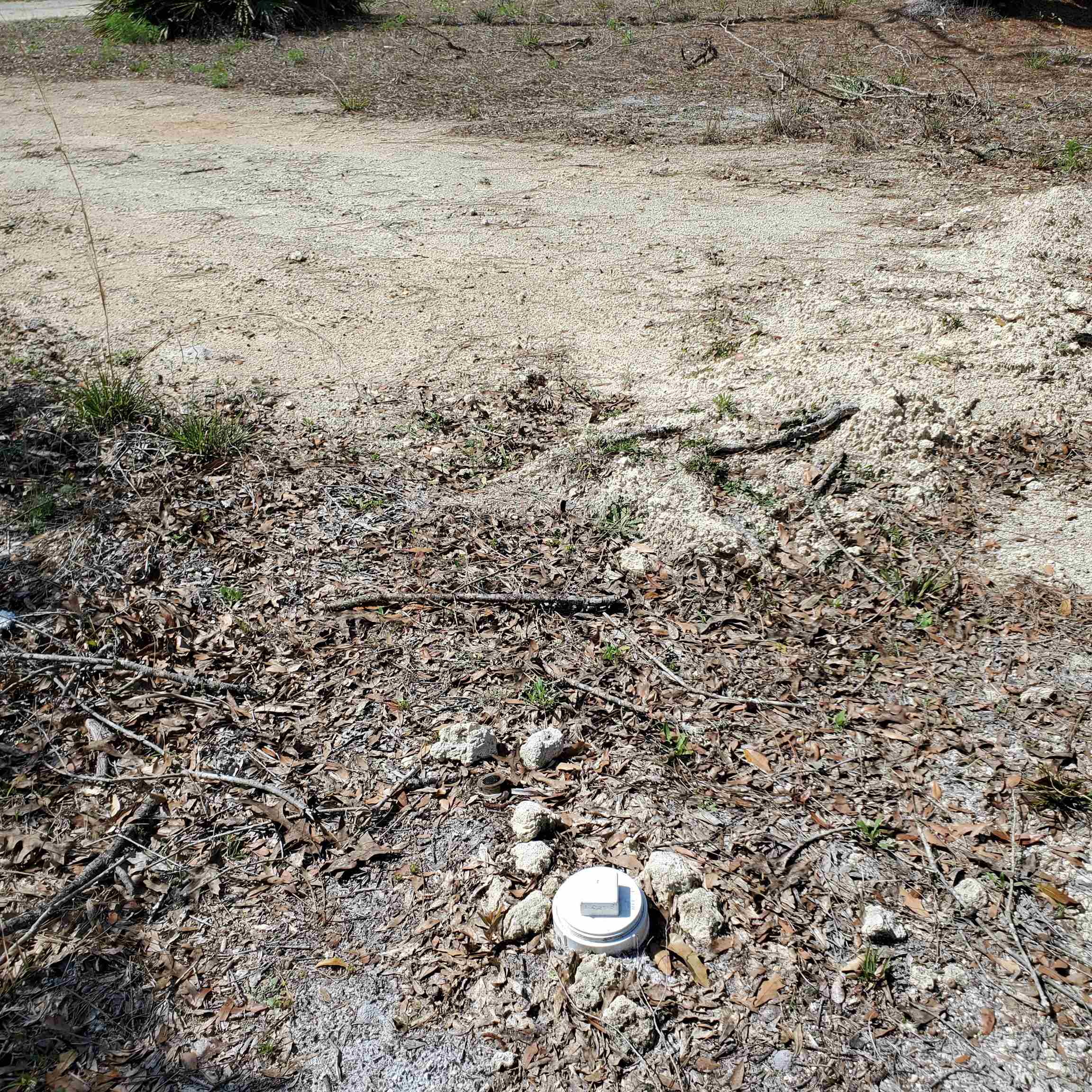 6320 N Cr 53, Mayo, Florida image 13