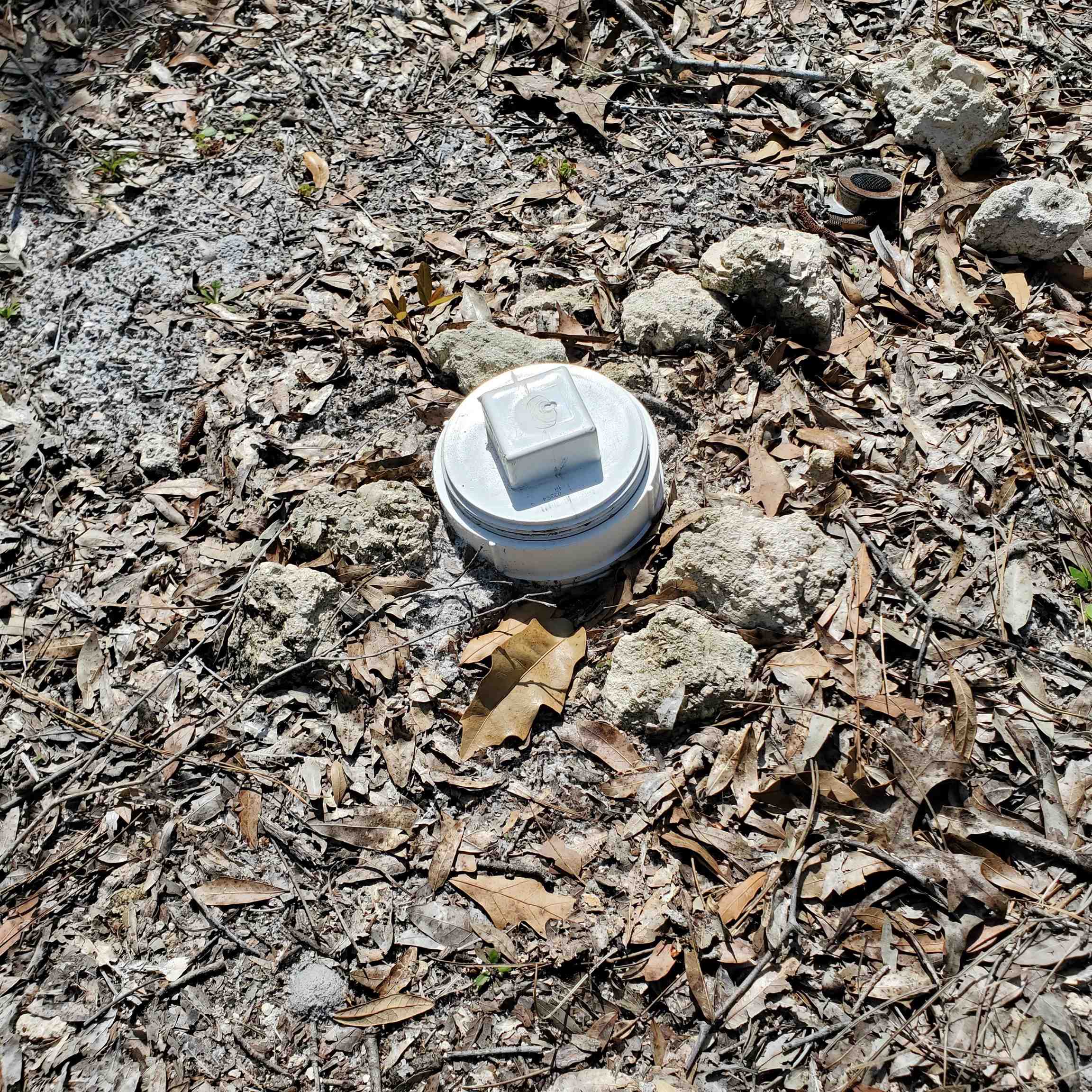 6320 N Cr 53, Mayo, Florida image 14