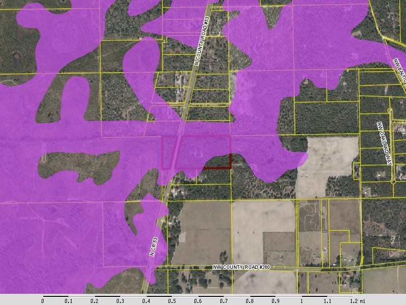 6320 N Cr 53, Mayo, Florida image 2