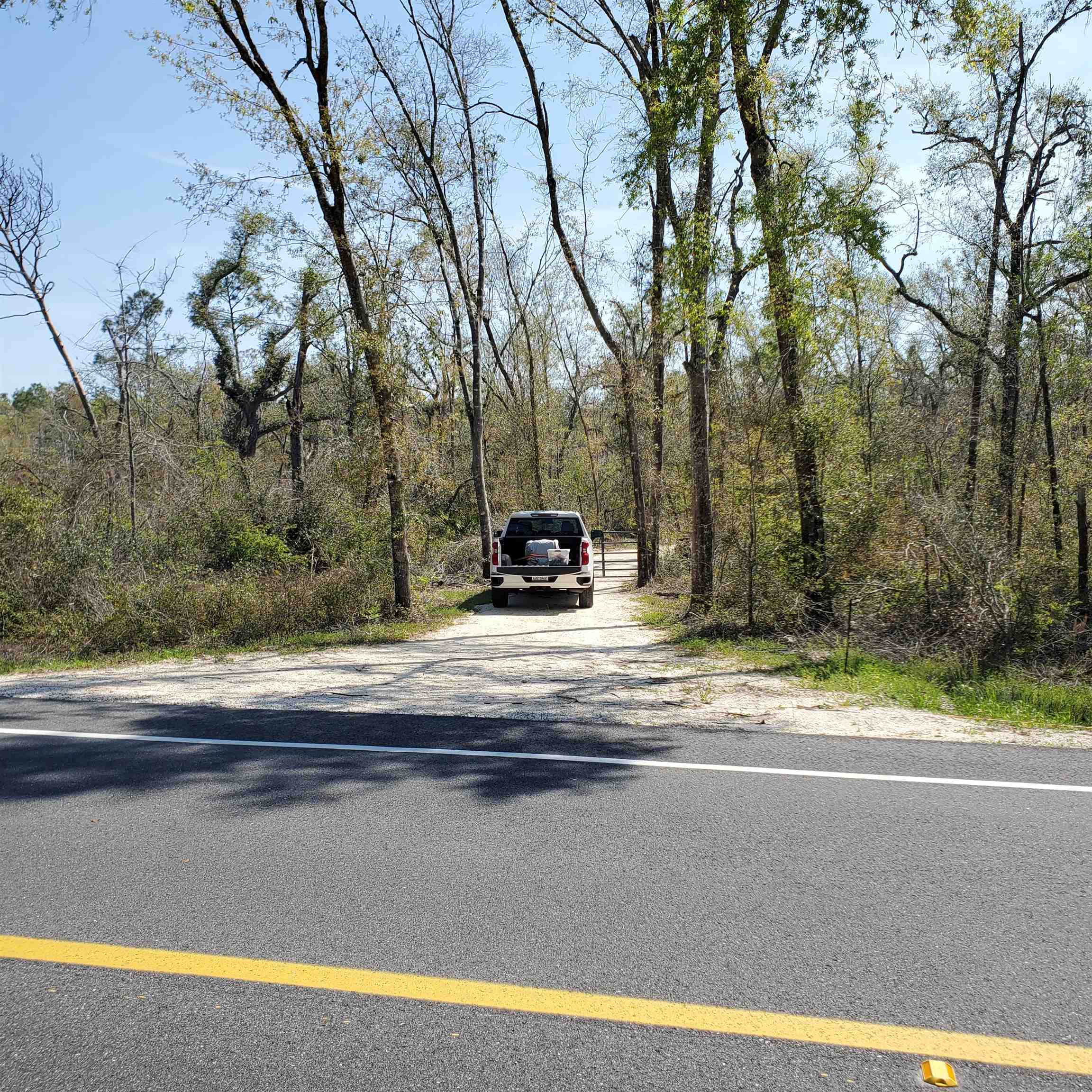 6320 N Cr 53, Mayo, Florida image 3