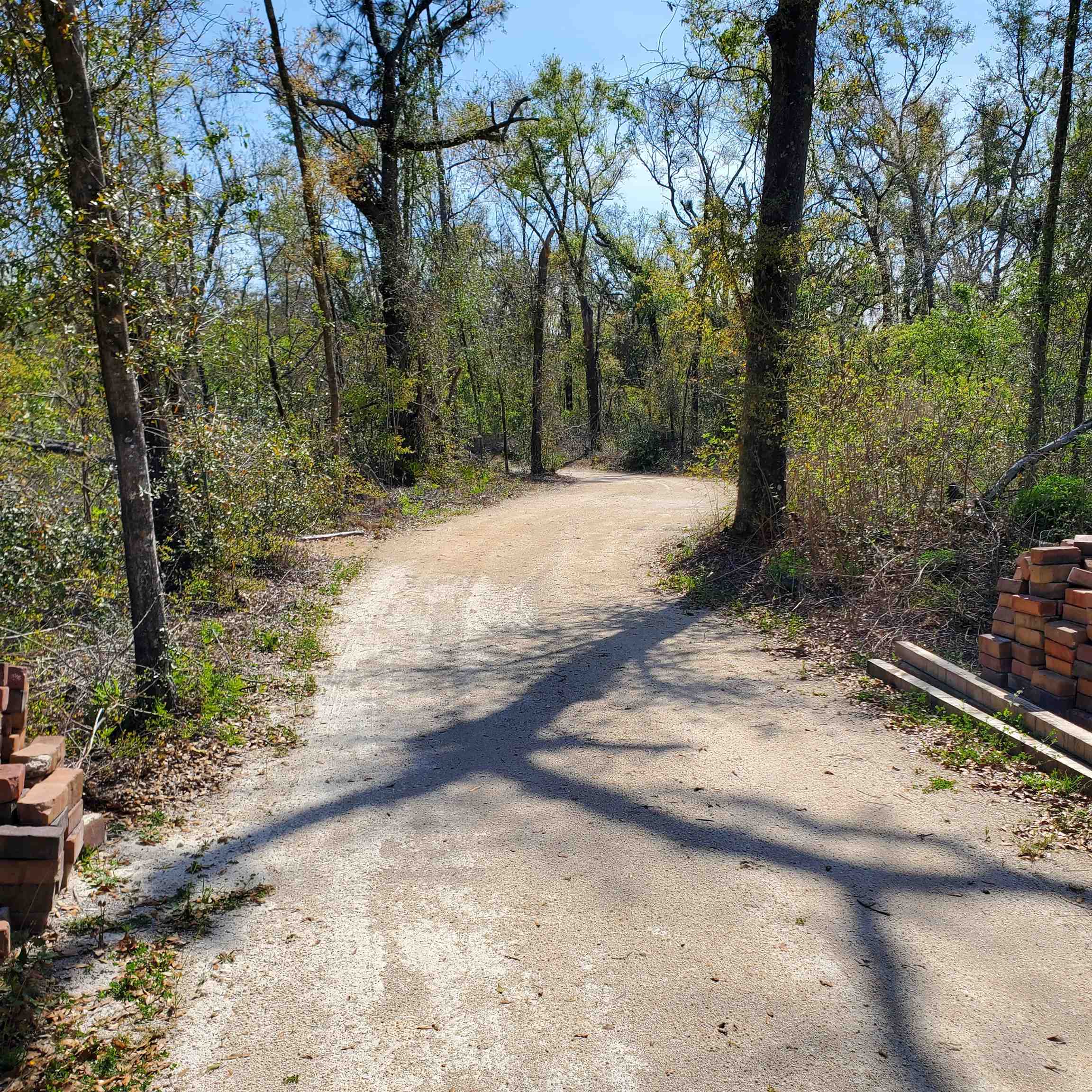 6320 N Cr 53, Mayo, Florida image 4