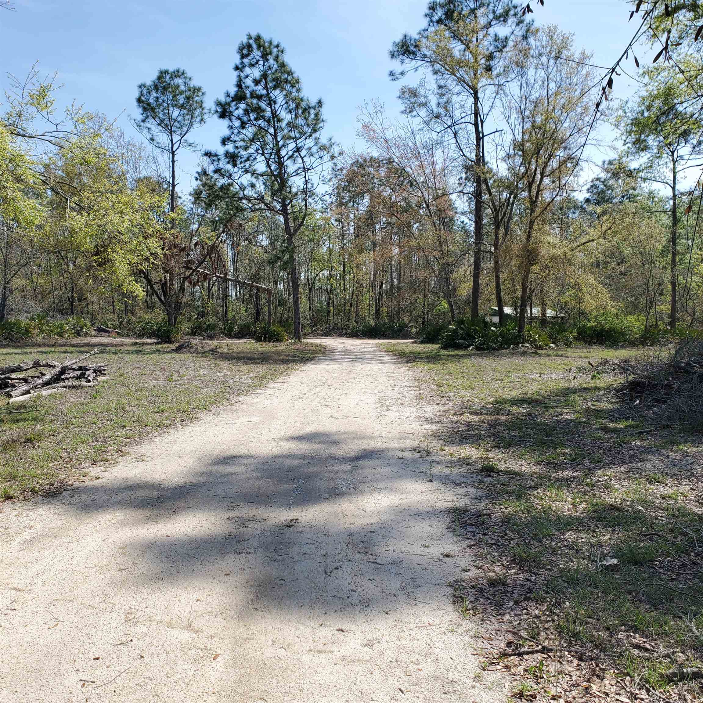 6320 N Cr 53, Mayo, Florida image 5