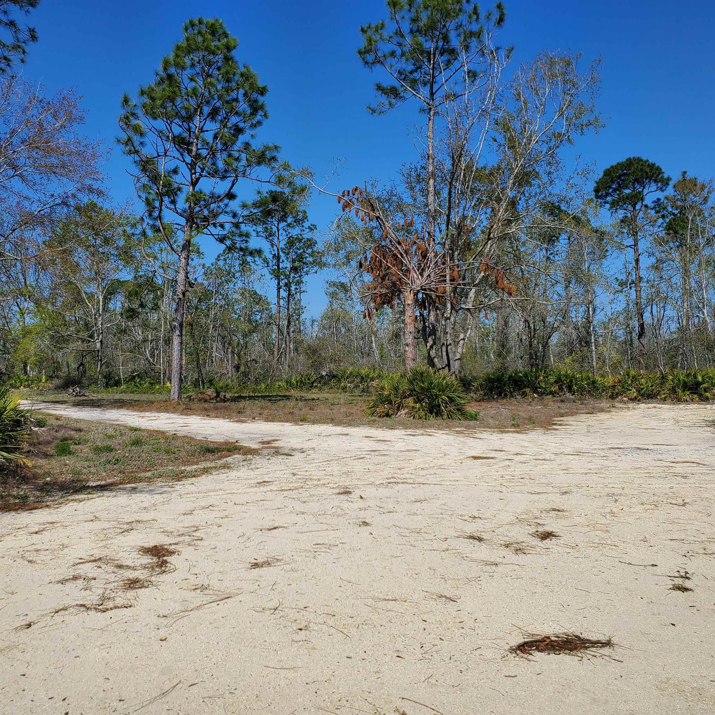 6320 N Cr 53, Mayo, Florida image 9