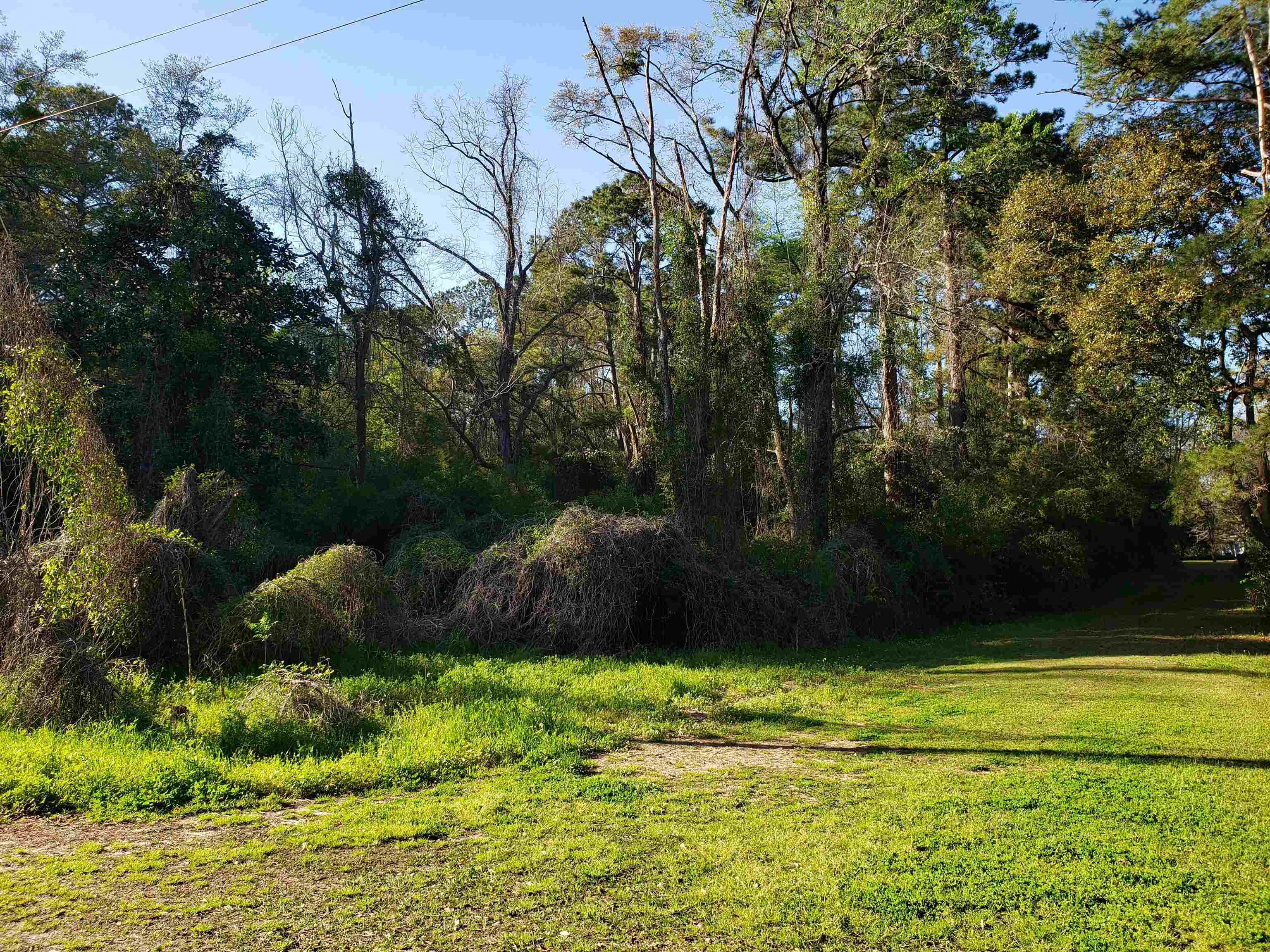9350 Powderhorn Avenue, Tallahassee, Florida image 2