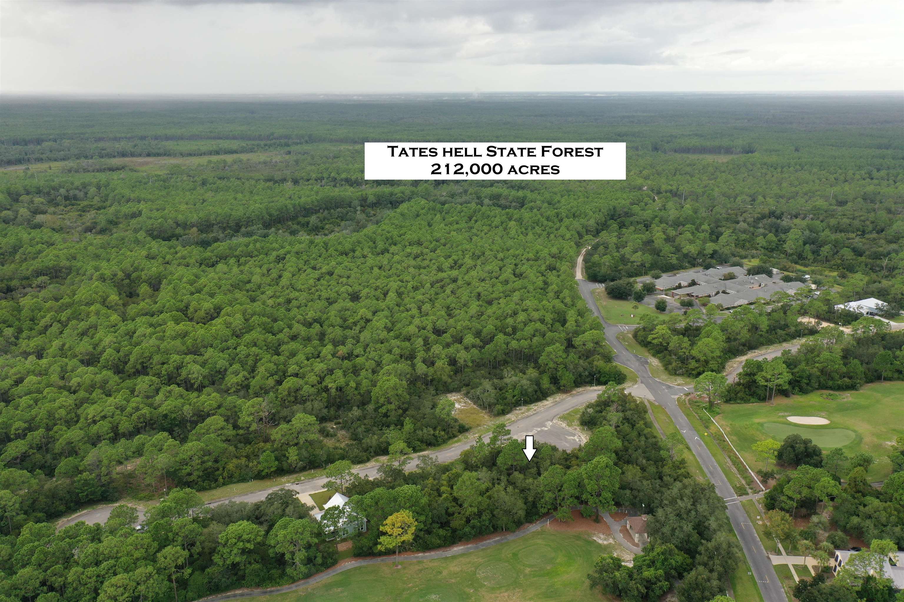 112 Spoonbill Court, Carrabelle, Florida image 17