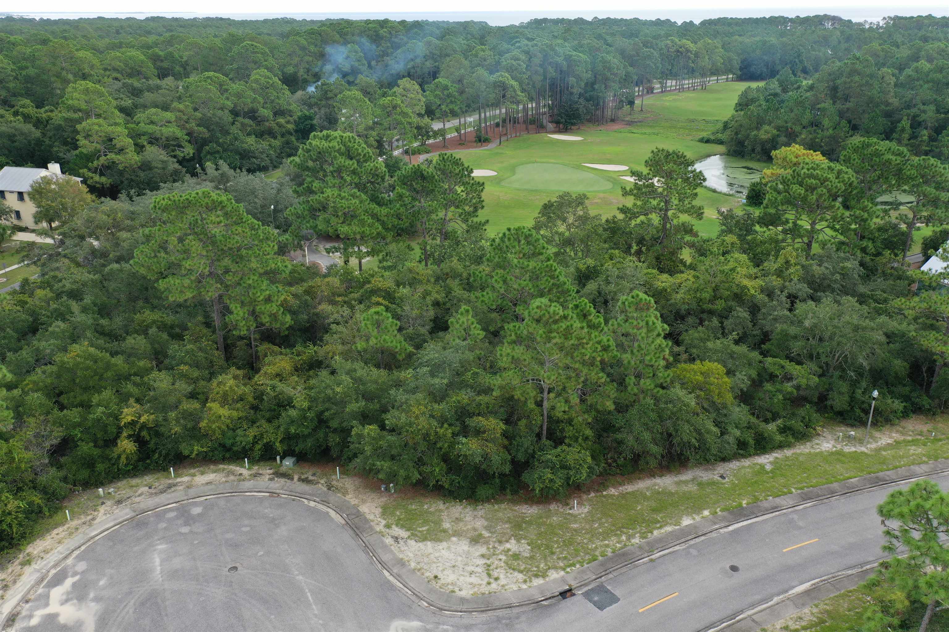 112 Spoonbill Court, Carrabelle, Florida image 23