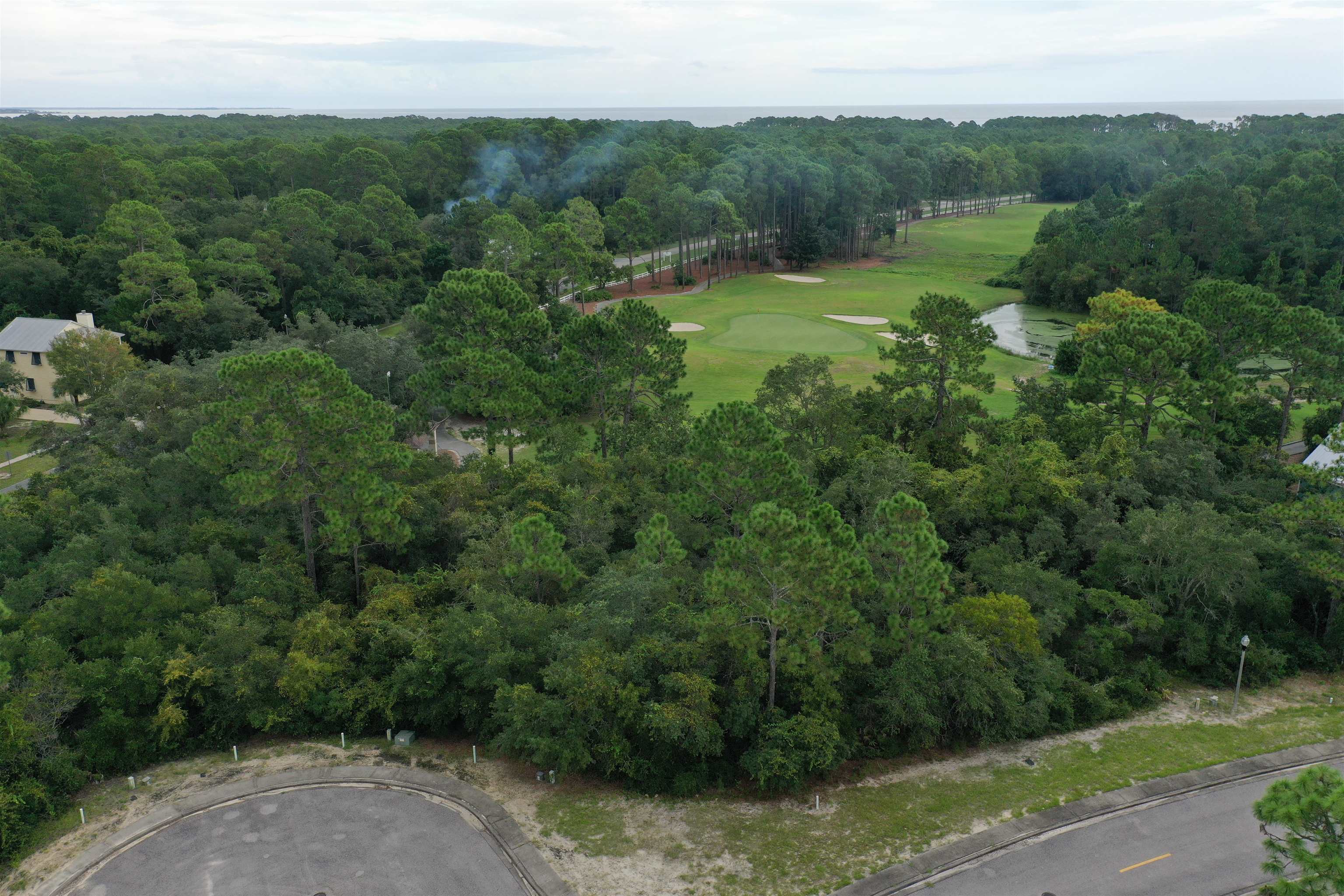112 Spoonbill Court, Carrabelle, Florida image 24