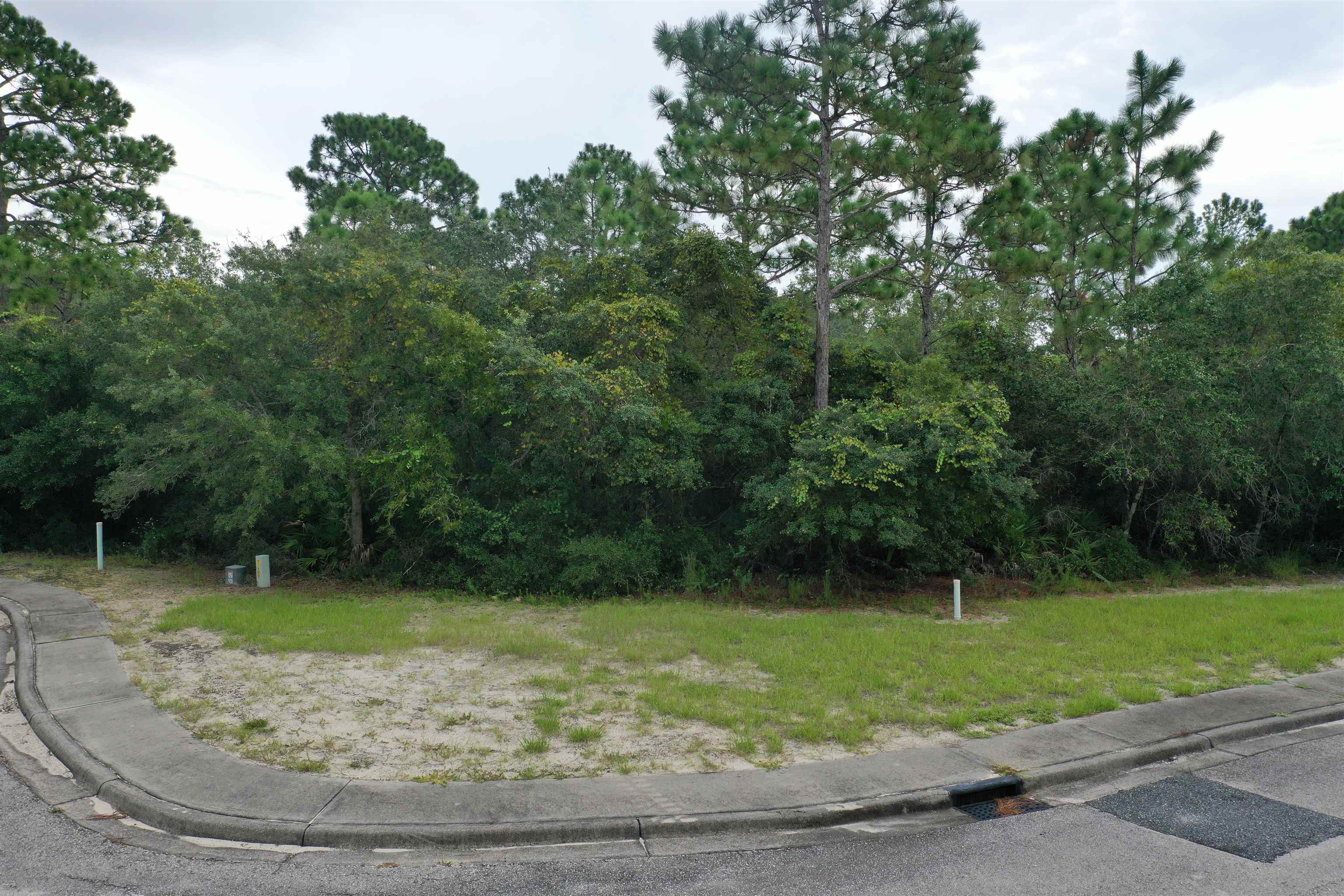 112 Spoonbill Court, Carrabelle, Florida image 25