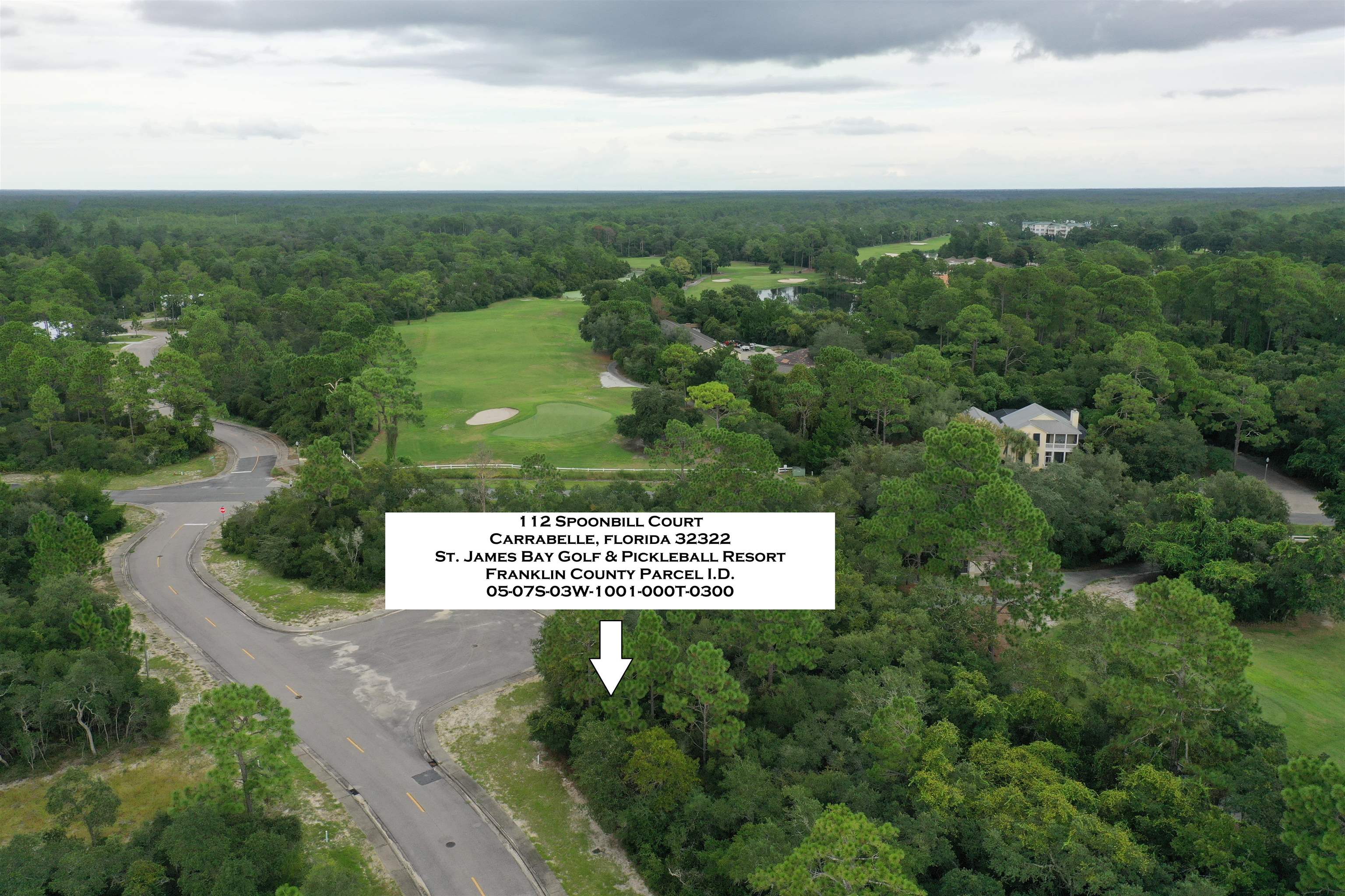 112 Spoonbill Court, Carrabelle, Florida image 3