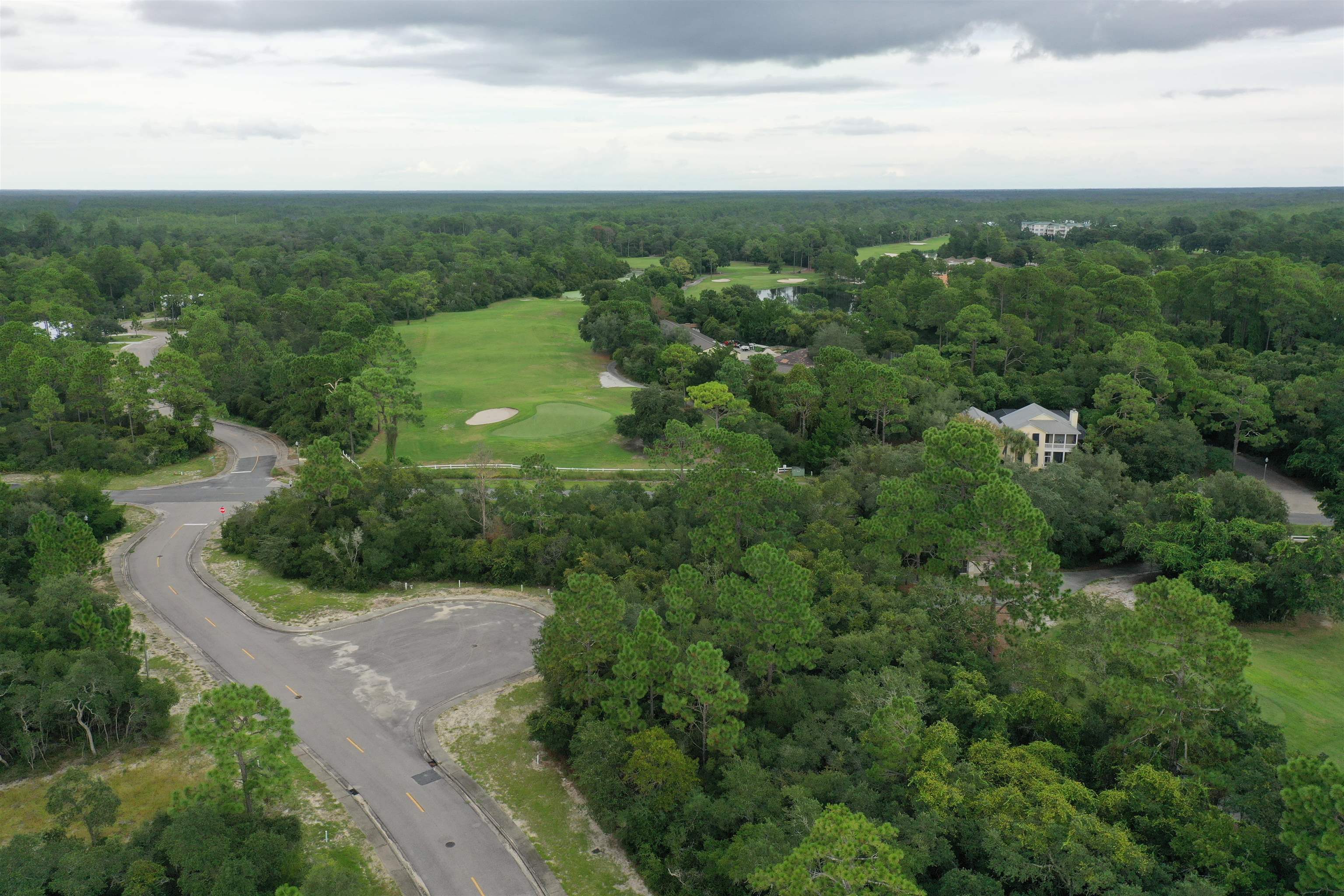 112 Spoonbill Court, Carrabelle, Florida image 4