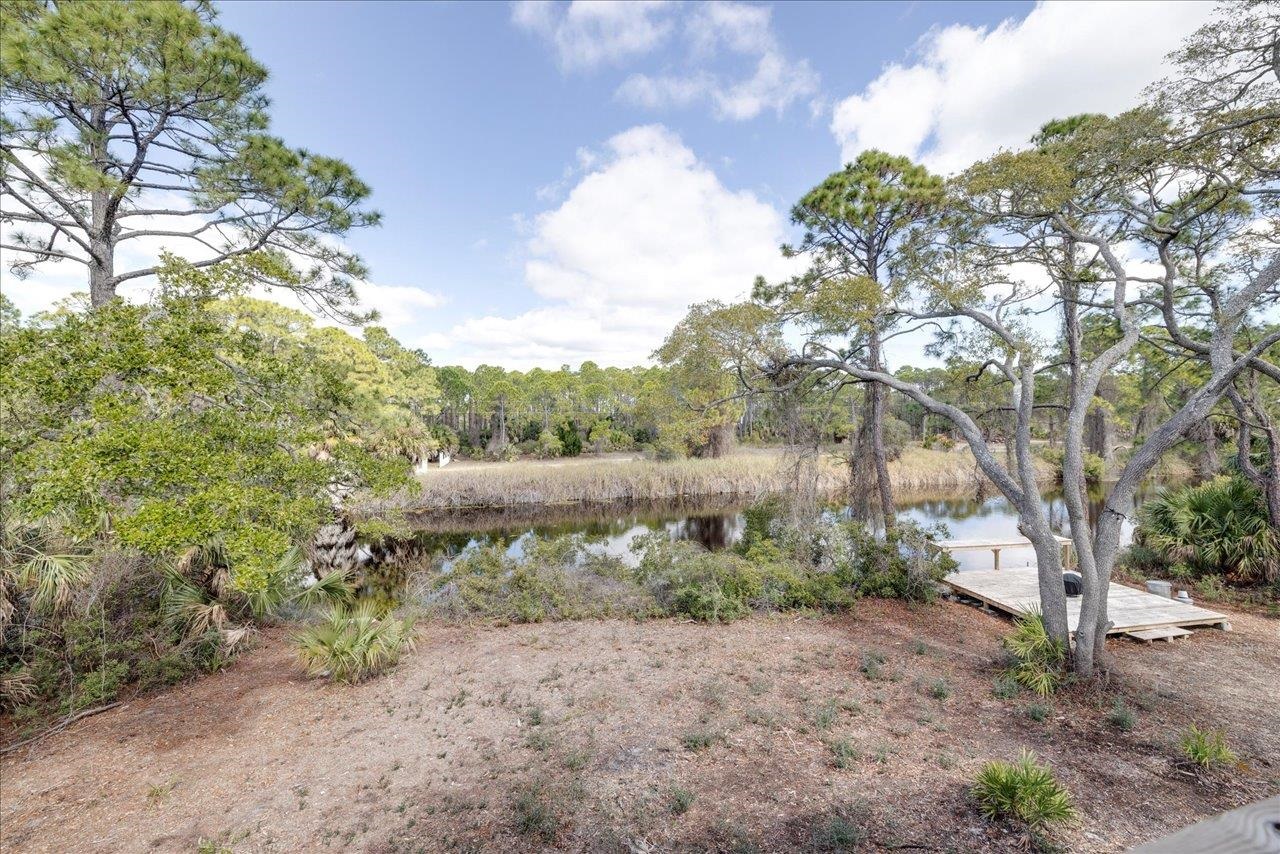 1372 Alligator Drive, Alligator Point, Florida image 33
