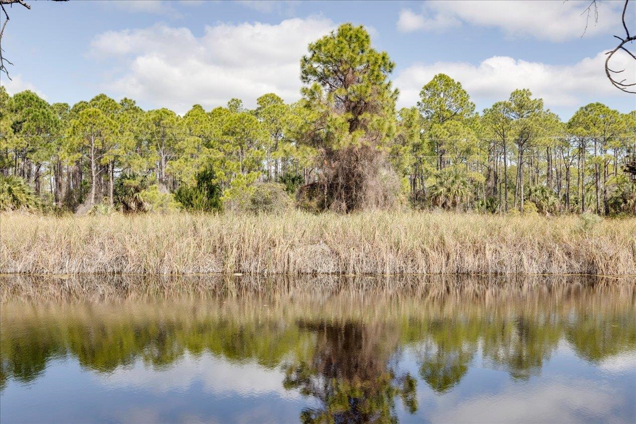 1372 Alligator Drive, Alligator Point, Florida image 35