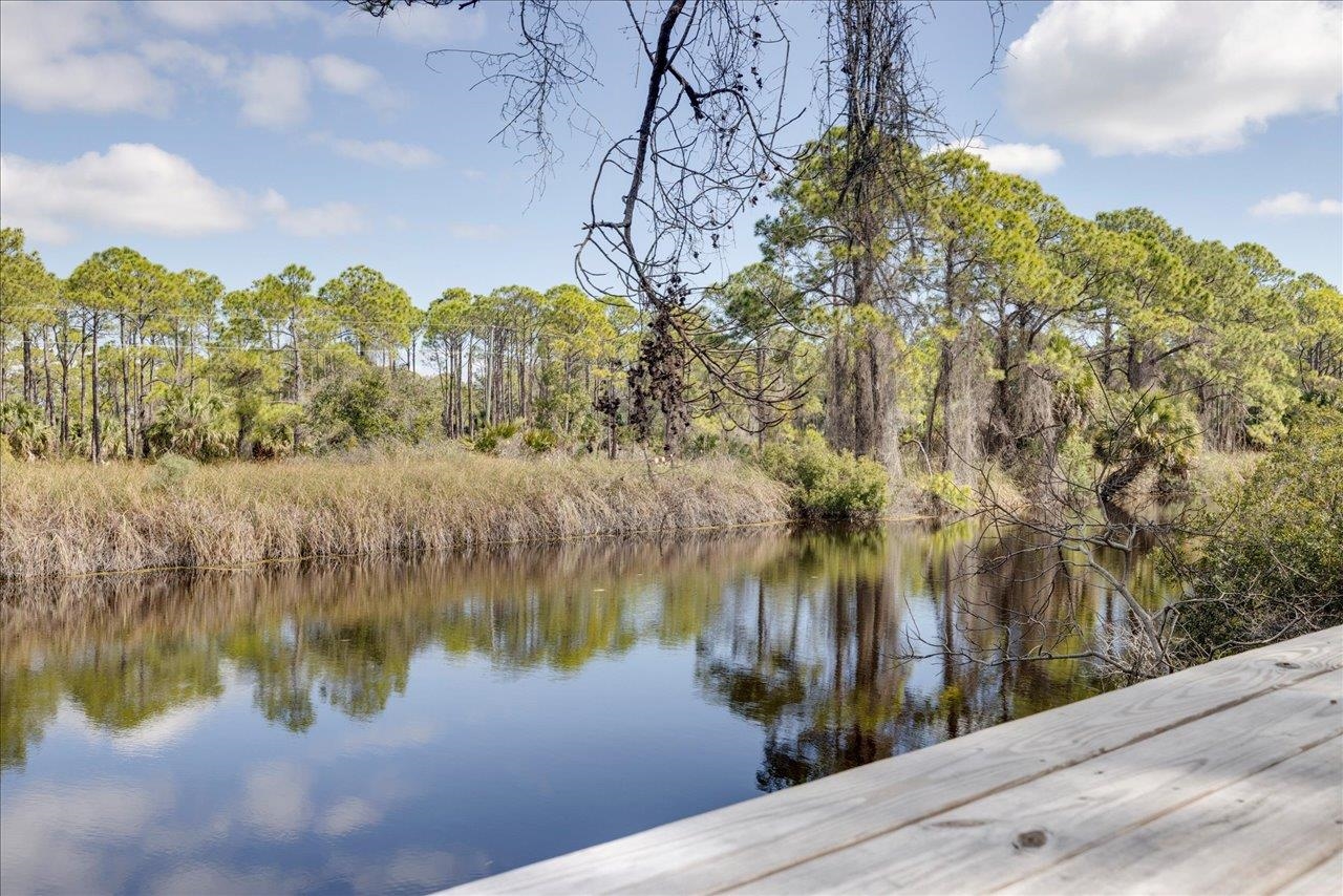 1372 Alligator Drive, Alligator Point, Florida image 36